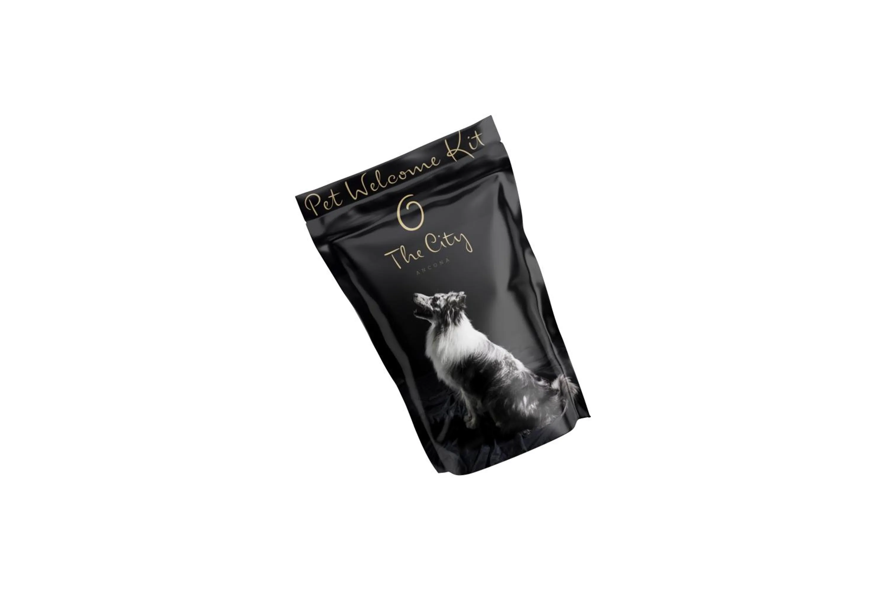 Animals in The City Hotel