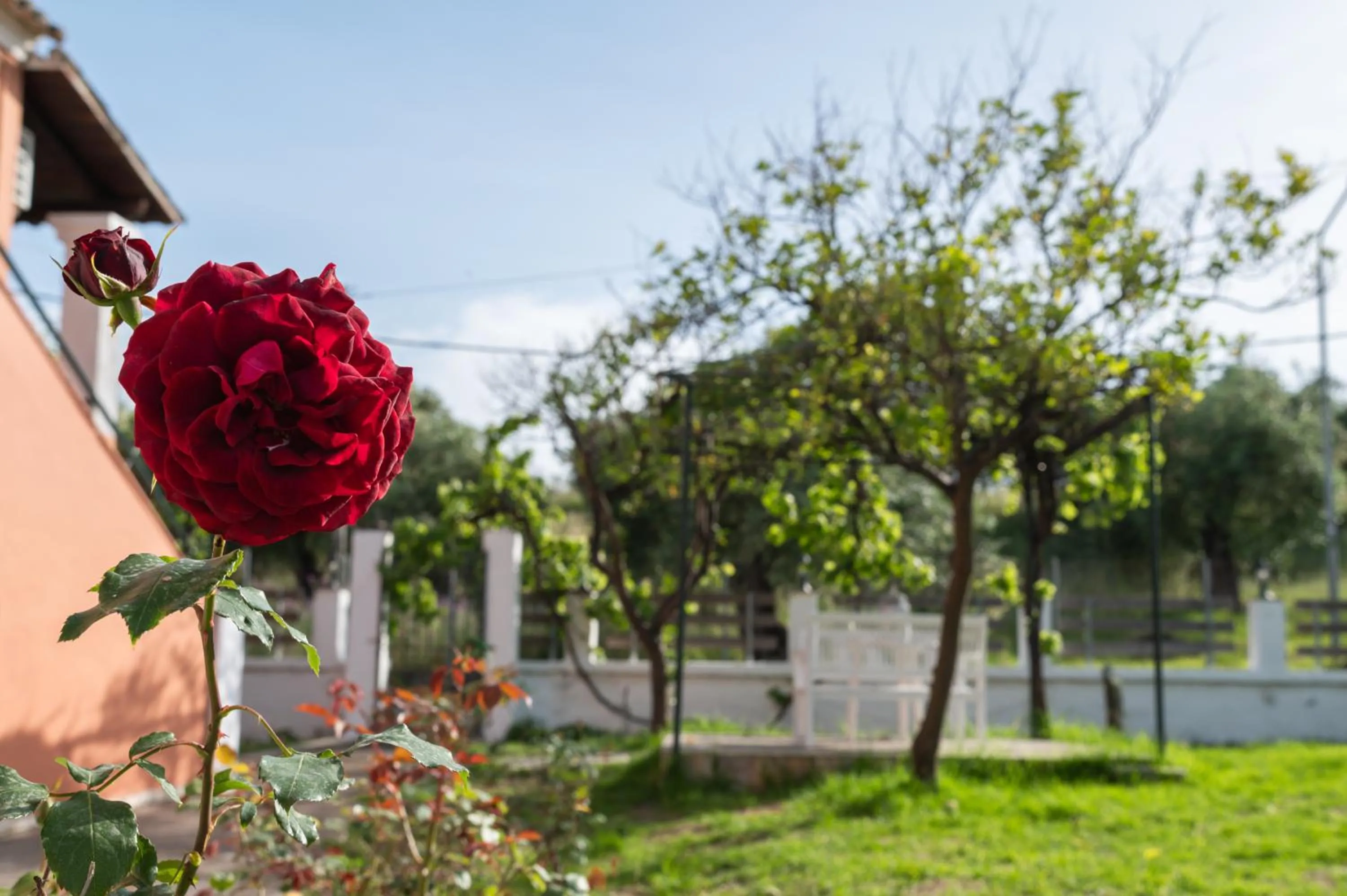 Villa Corfiota Moraitika Beach