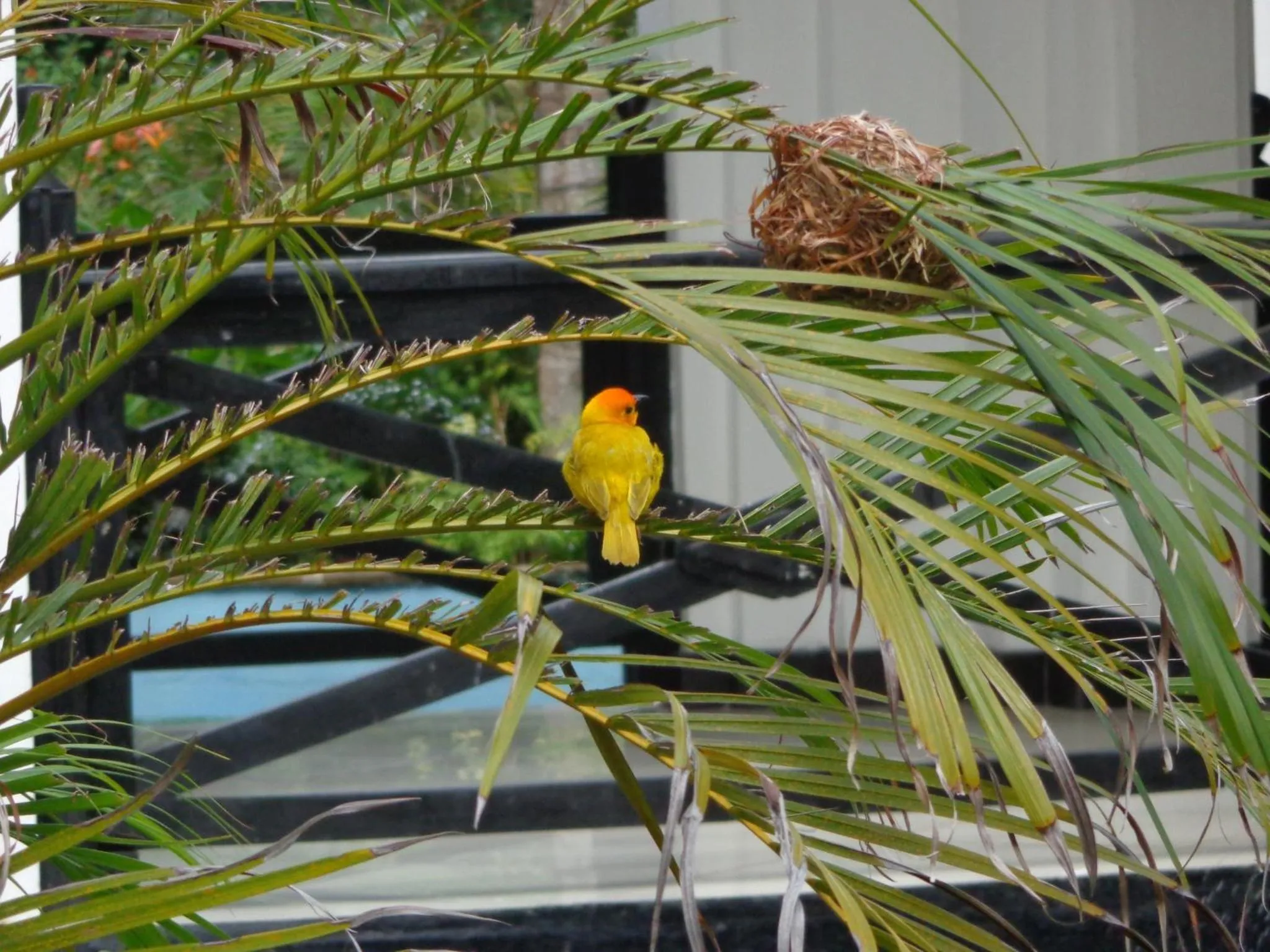 Natural landscape in Kaskazi Beach Resort