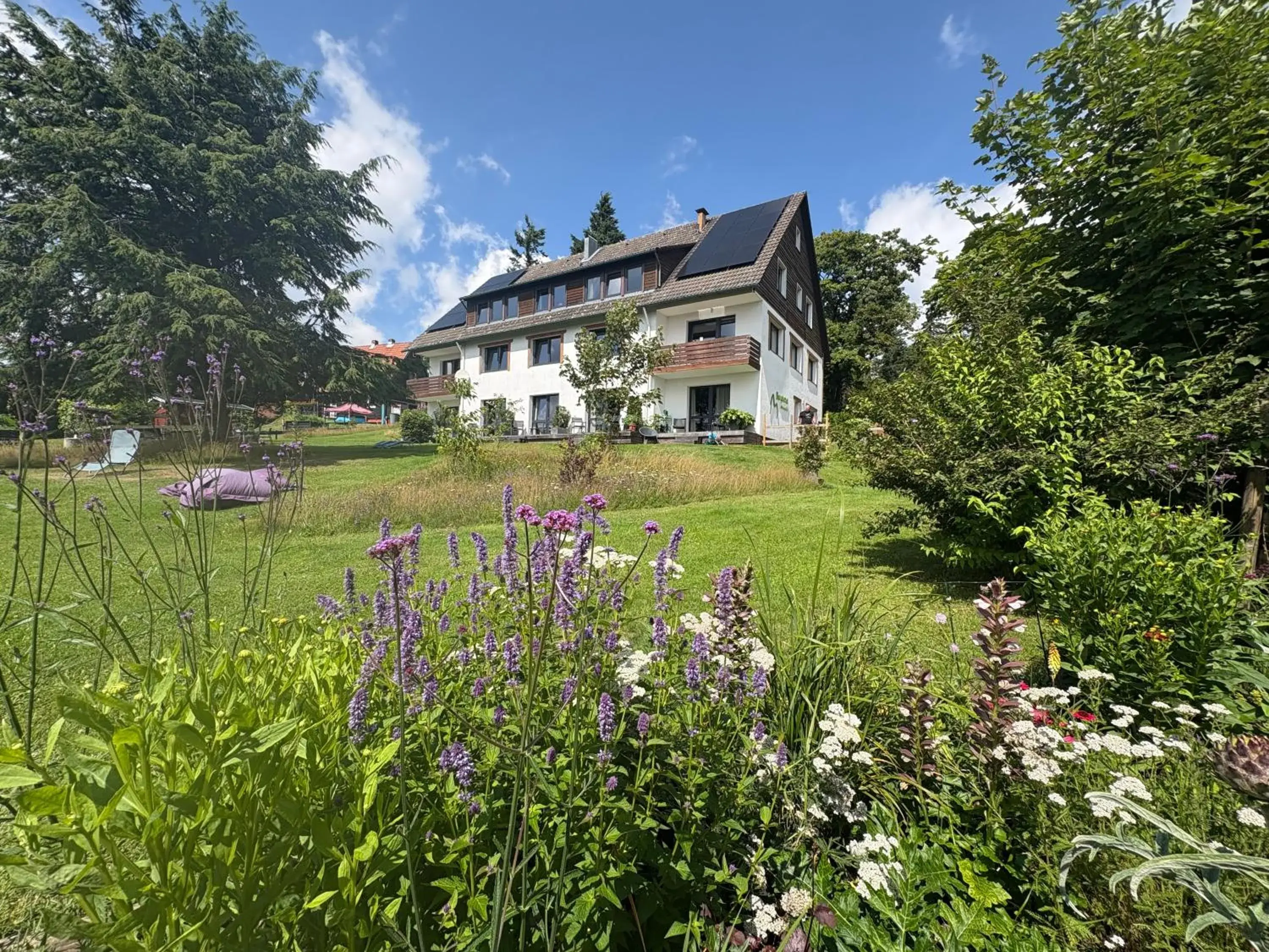 Berghotel Hohegeiß Berghotel Hohegeiß