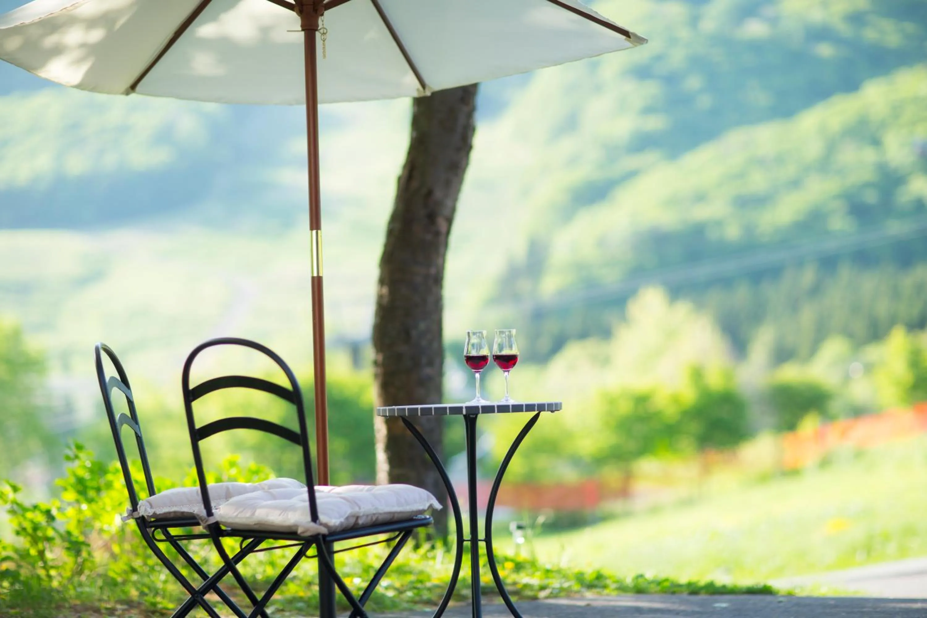 Balcony/Terrace in Takamiya Hotel Jurin