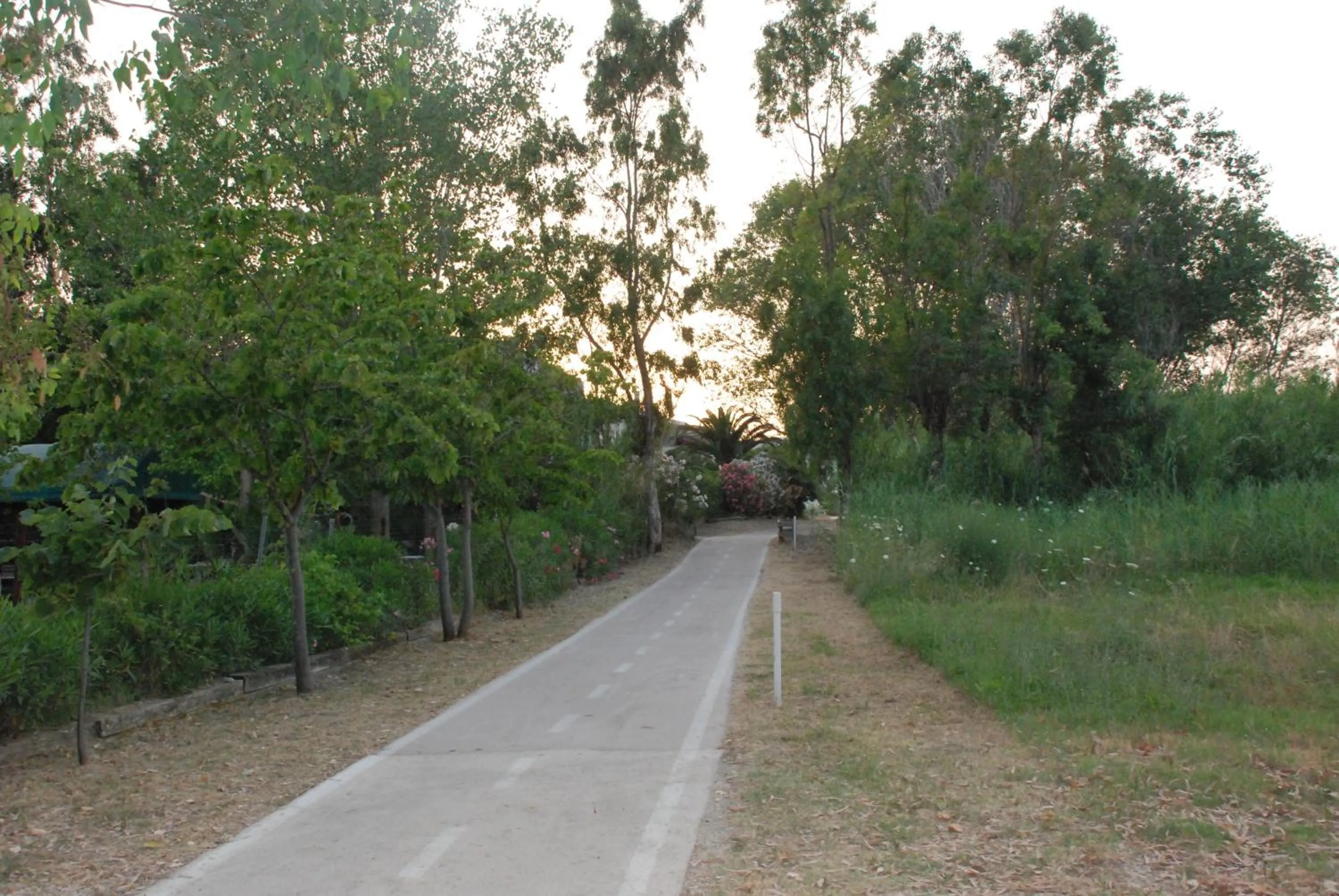Cycling in Hotel Lido