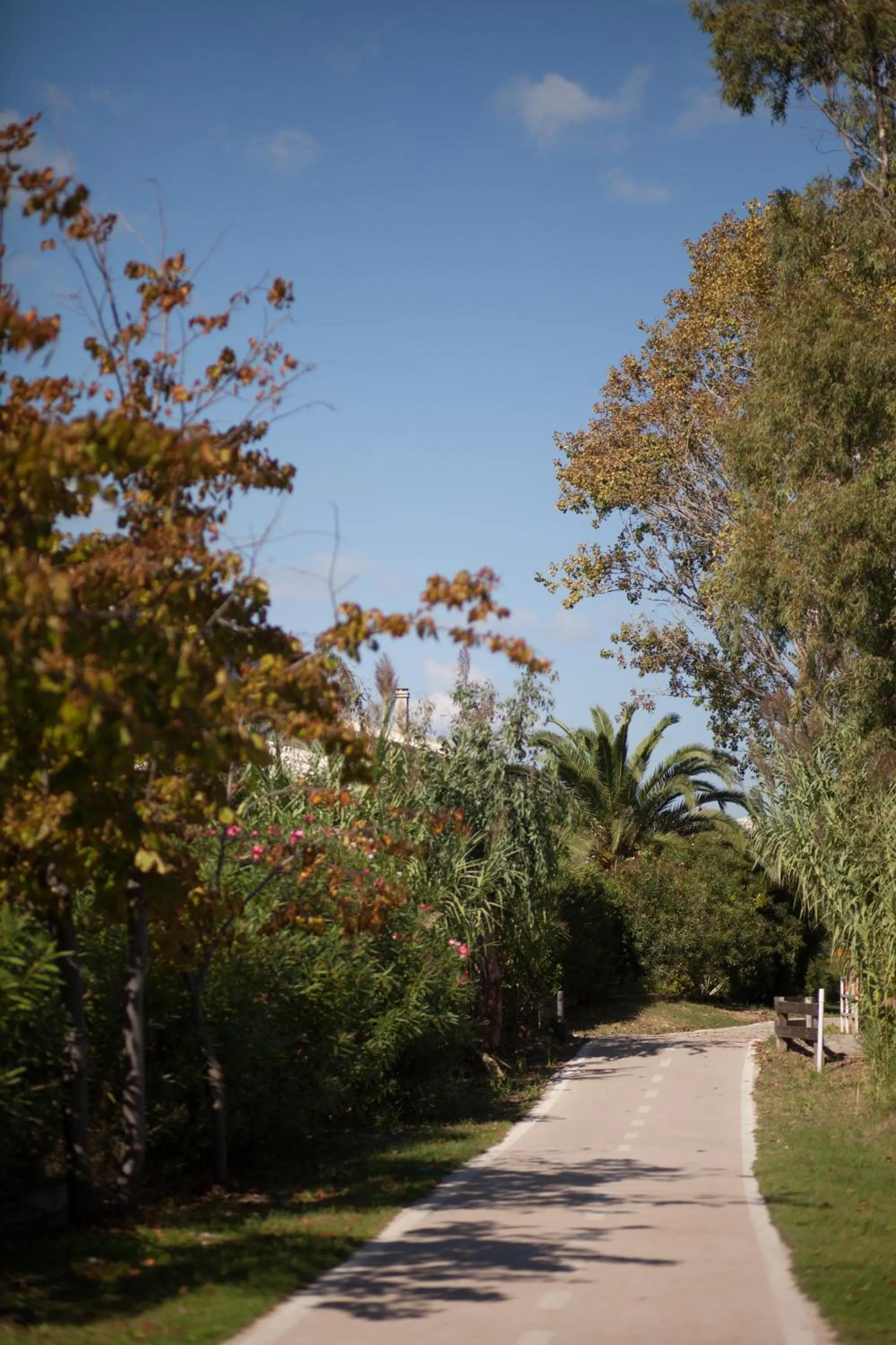 Cycling in Hotel Lido