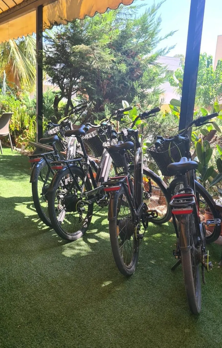 Cycling in Hotel Lido
