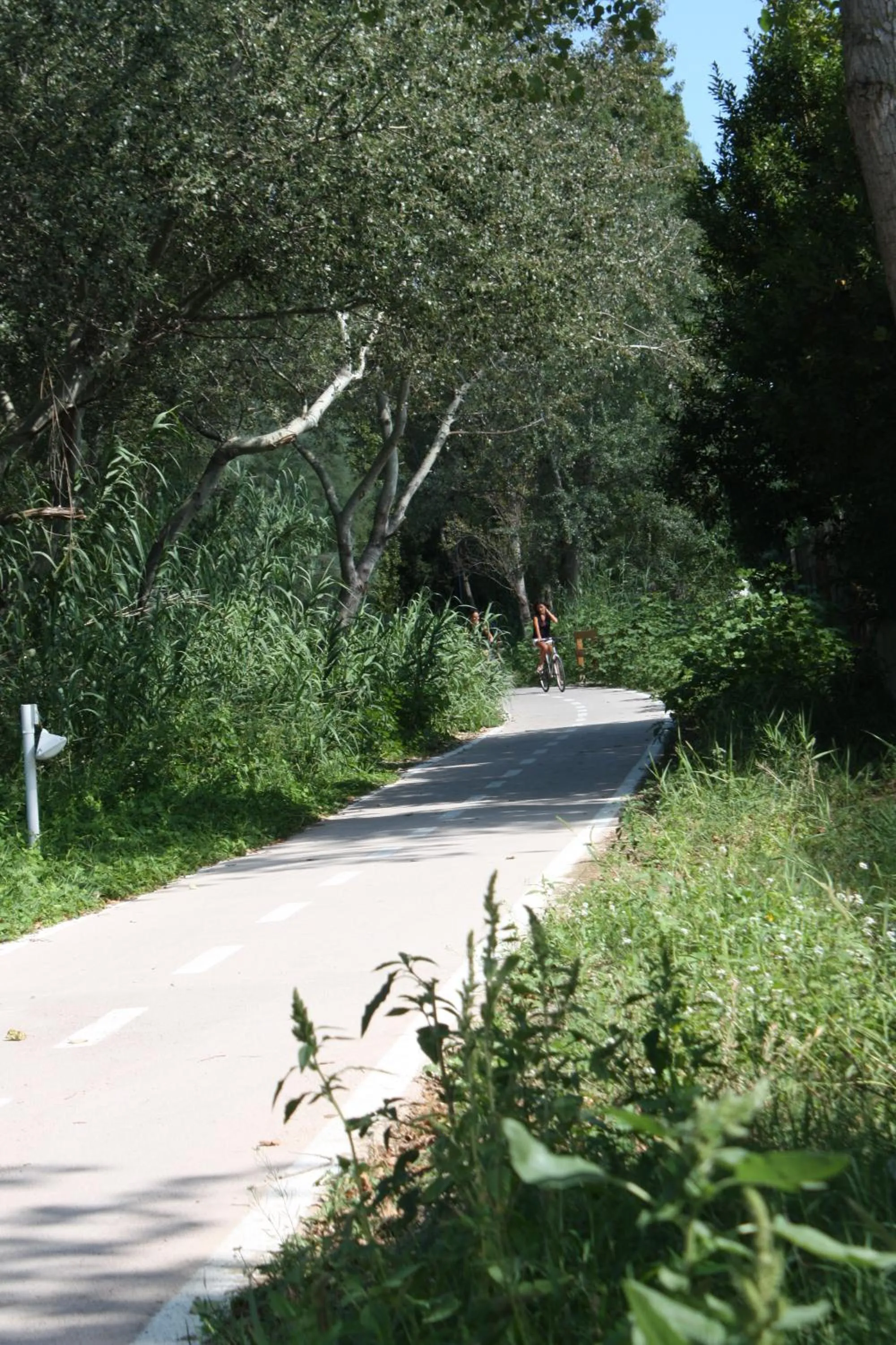 Cycling in Hotel Lido
