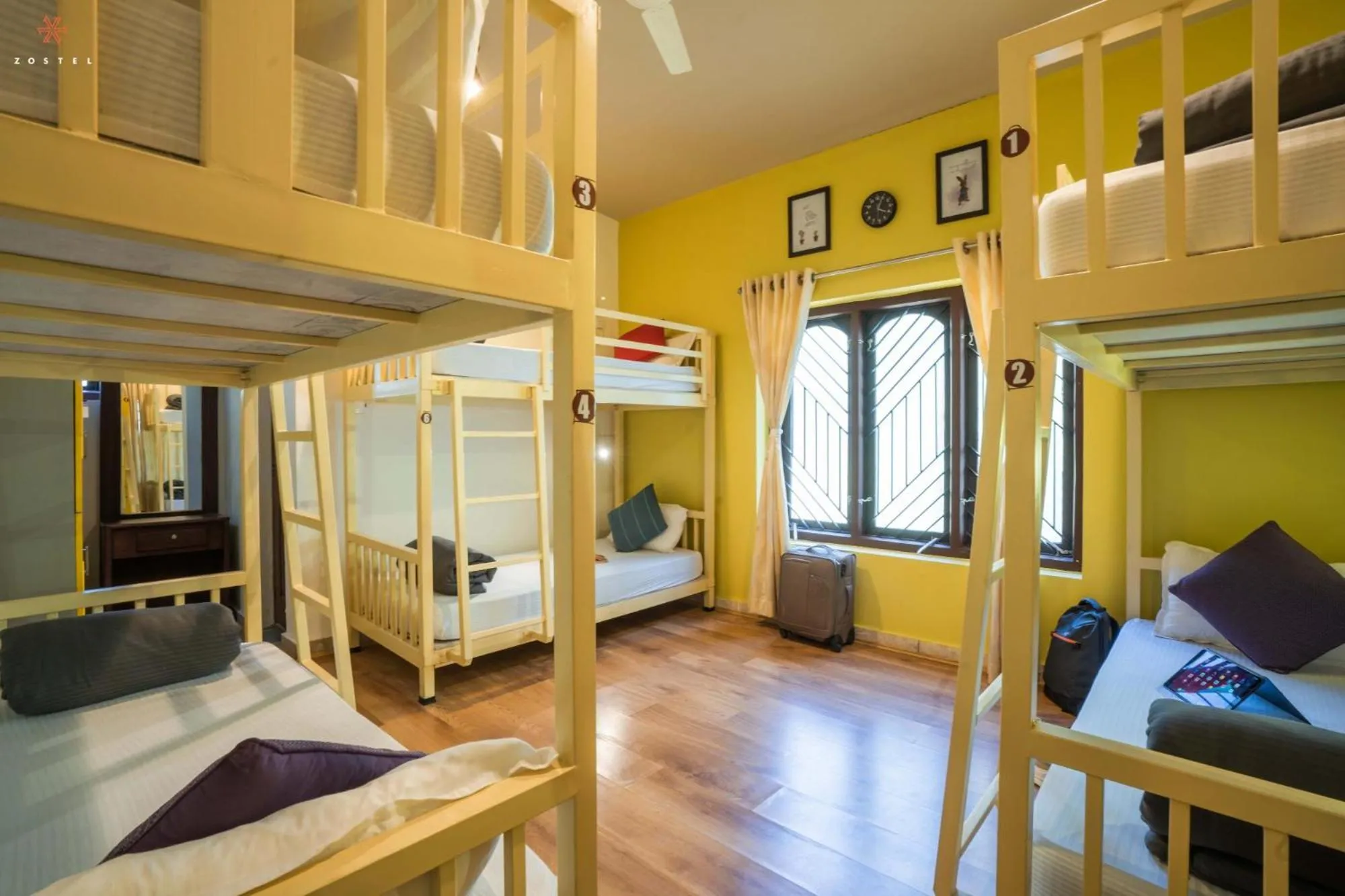 Bed in Zostel Coorg, Madikeri