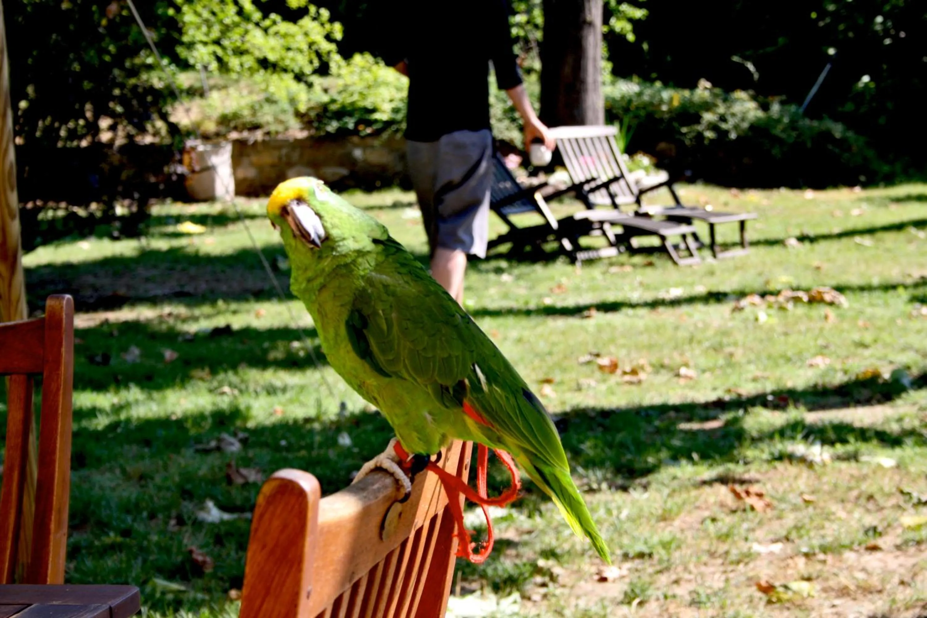 People in La Martellina B&B