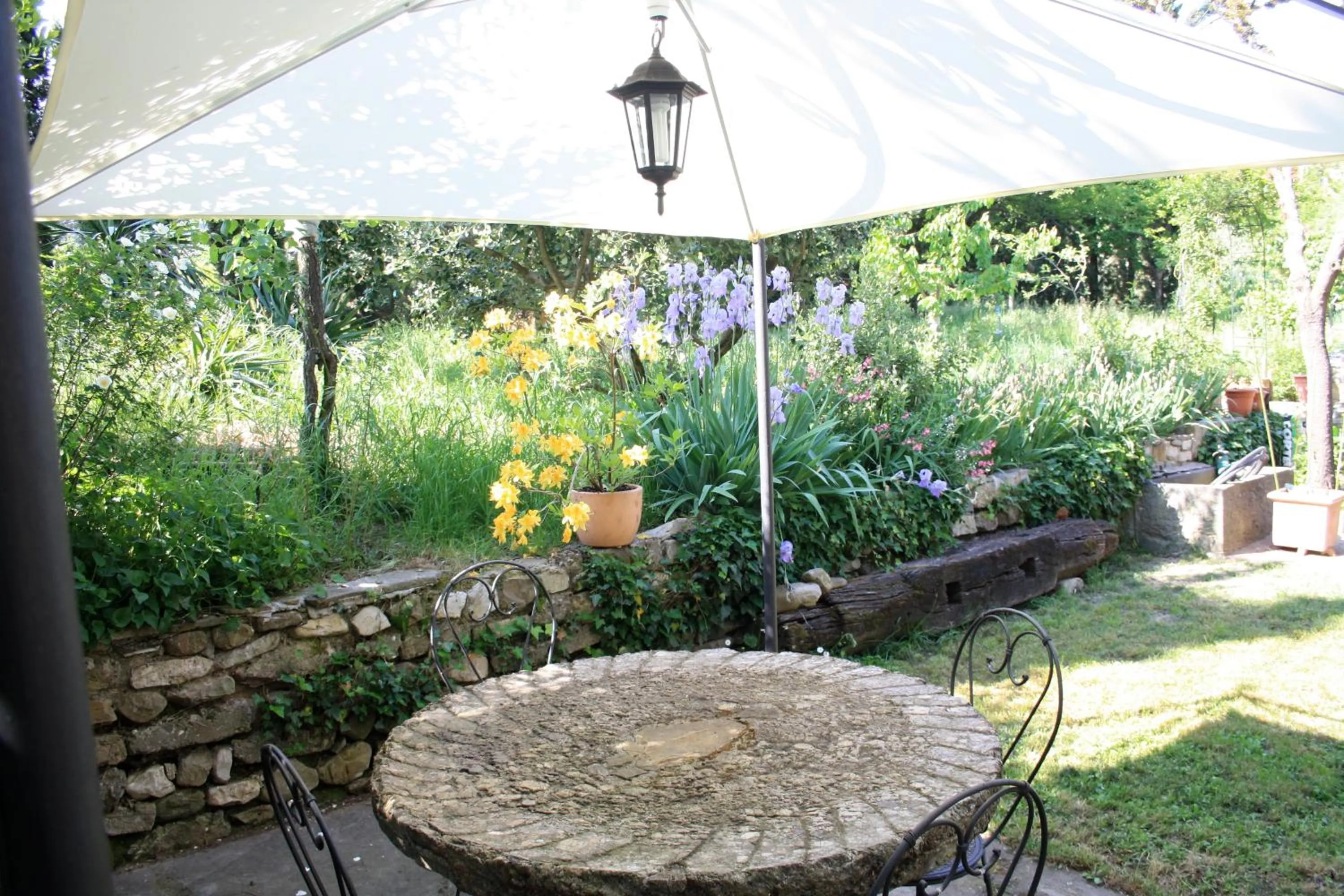 Garden in La Martellina B&B