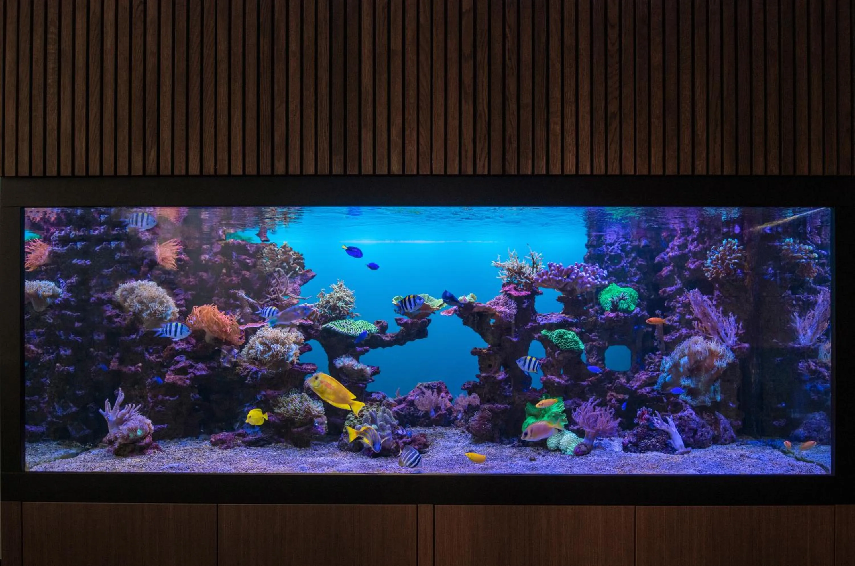 Lobby or reception in Hôtel Pax