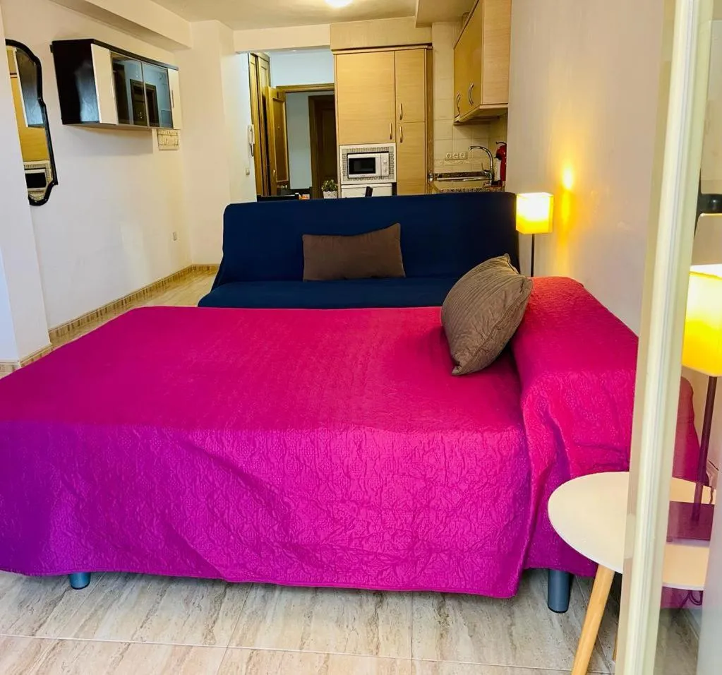 Photo of the whole room, Bed in Puerta del Sol TRM only adults Aparts