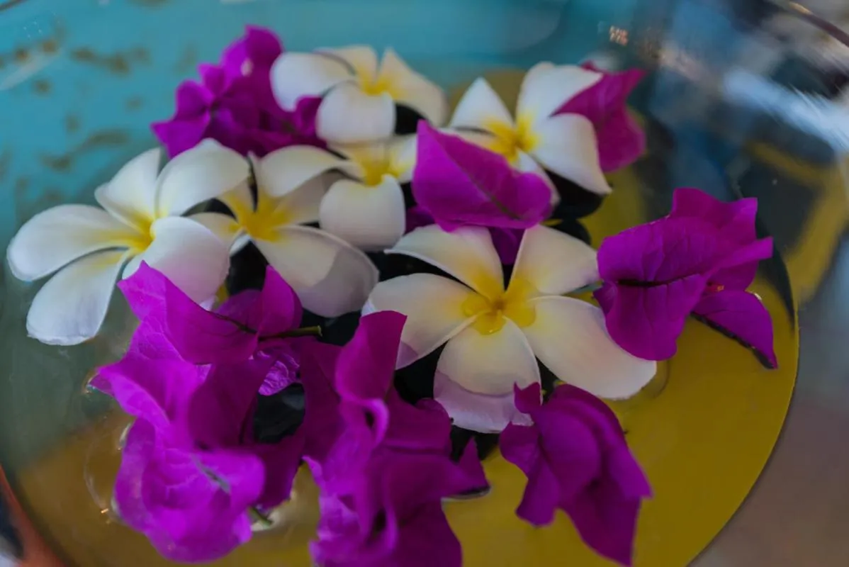 Villa Lodge 4 Epices