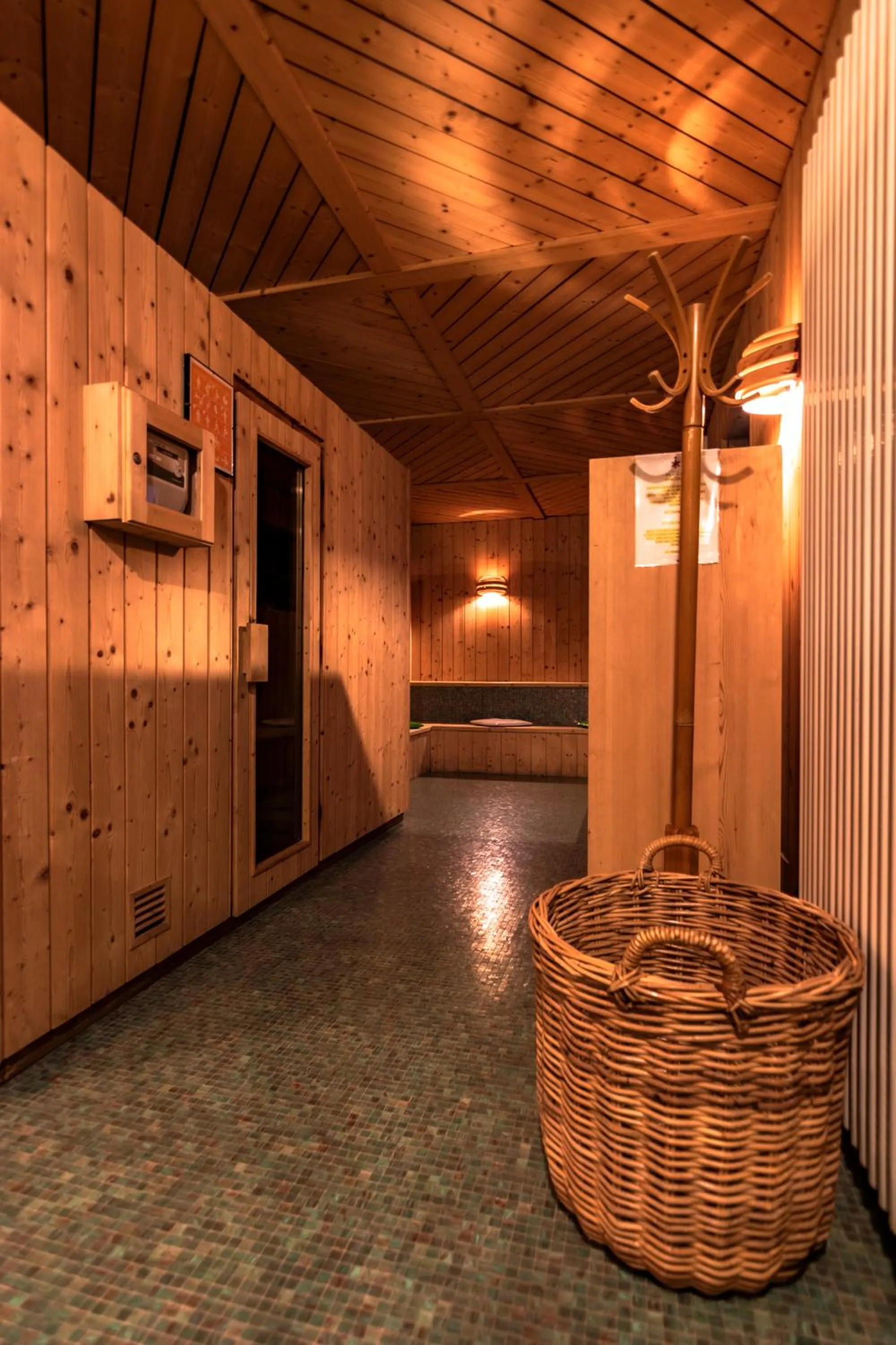 Spa and wellness centre/facilities in Hotel Planac