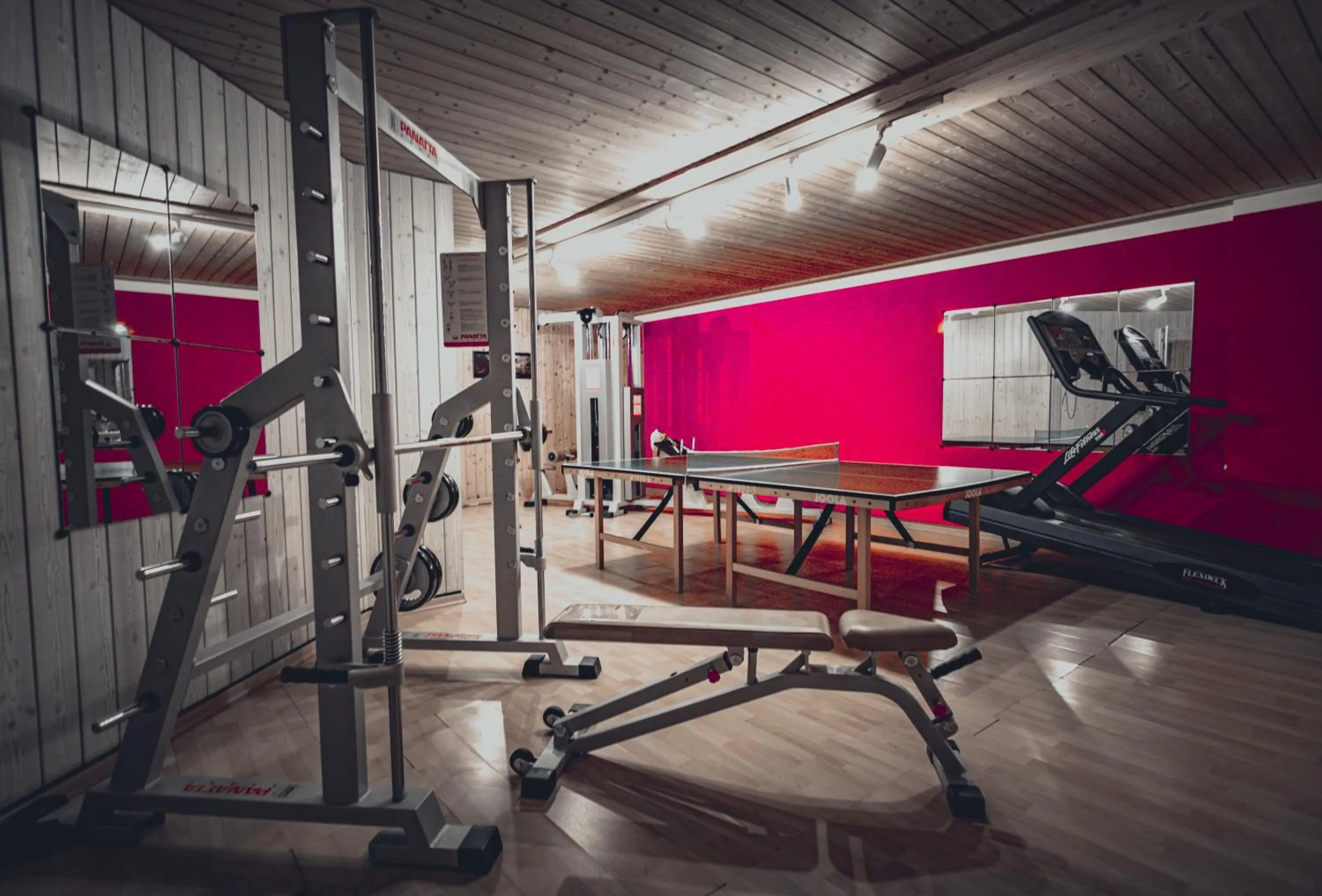 Fitness centre/facilities in Hotel Planac