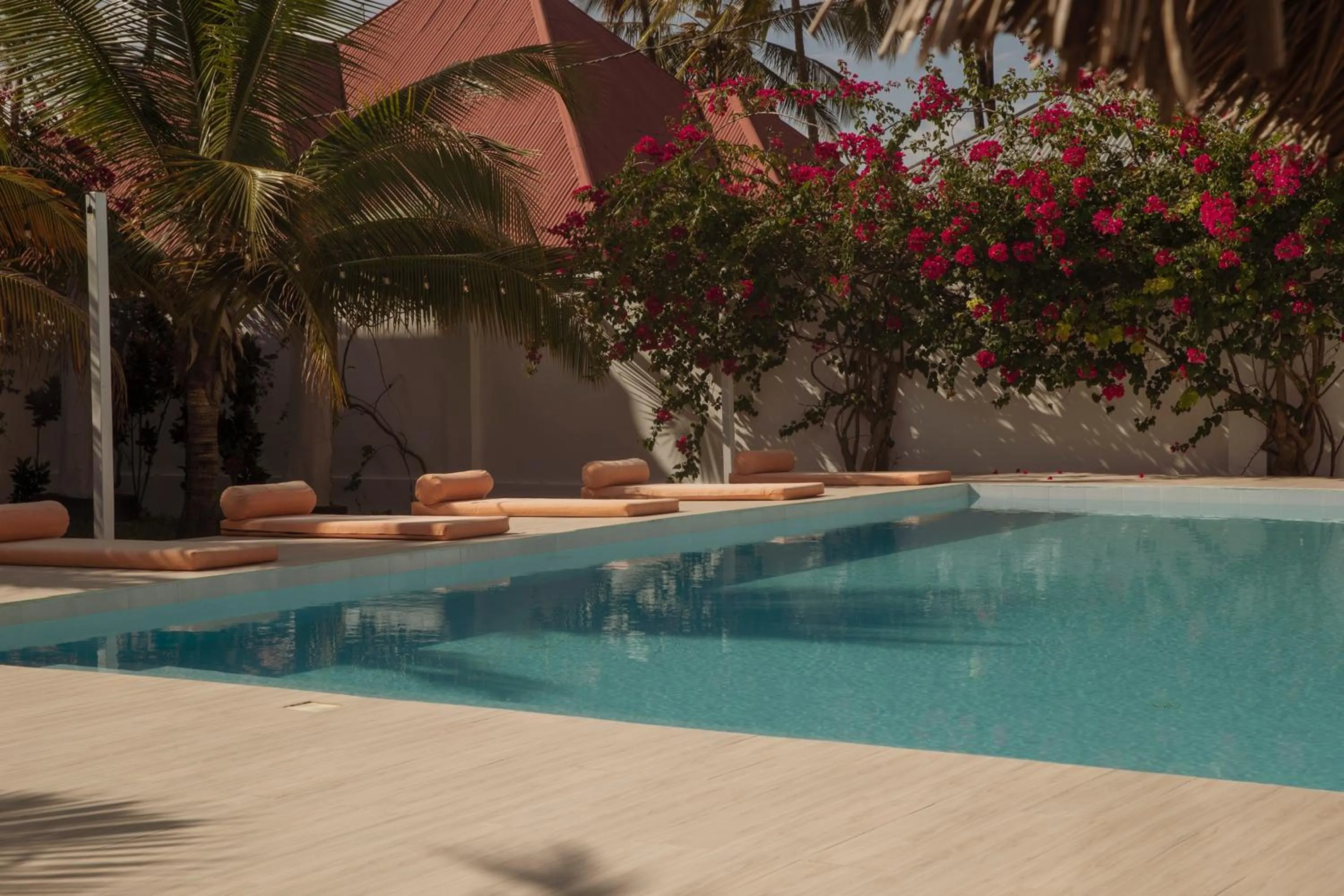 Swimming pool in Paje White House