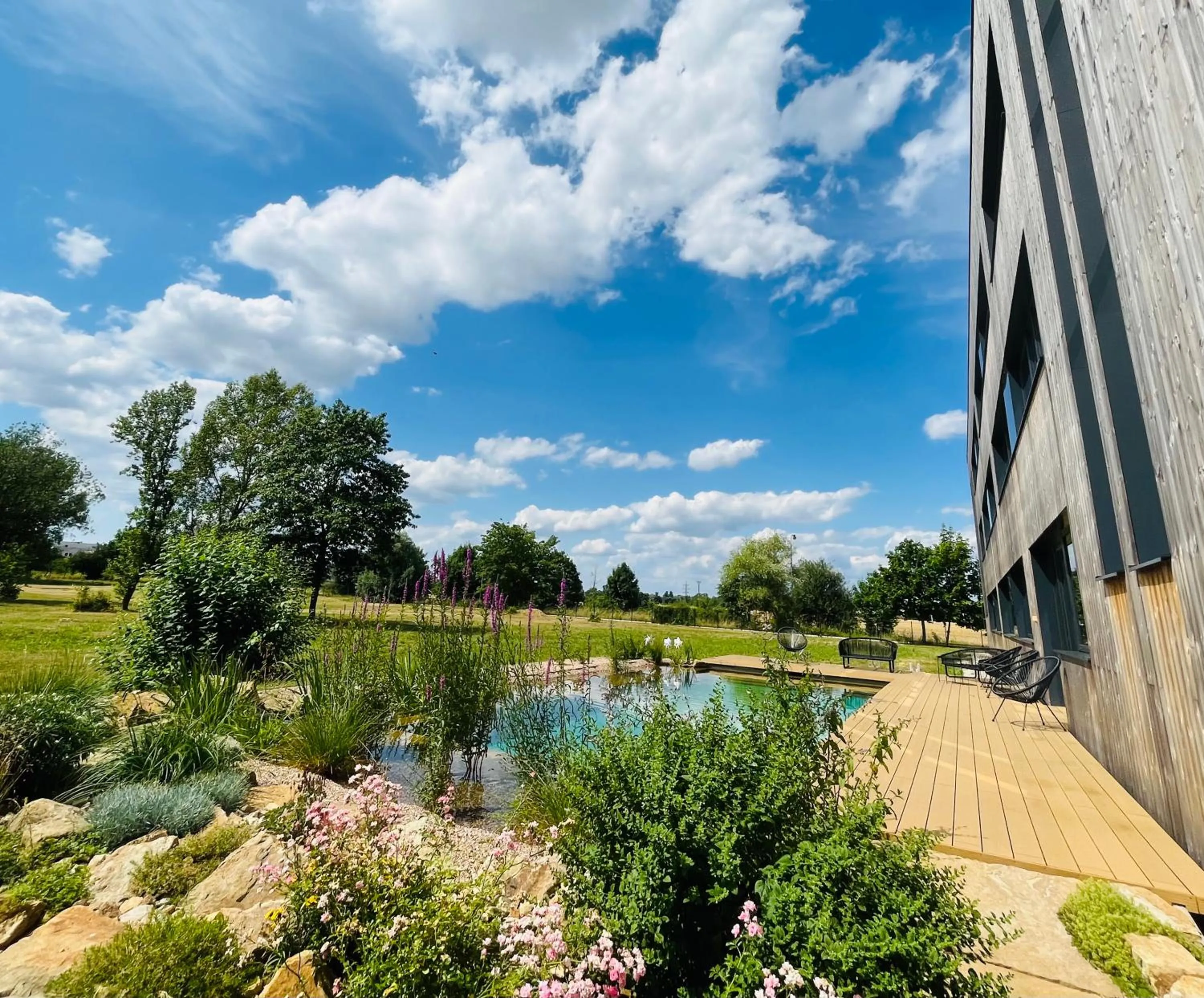 Swimming pool in Hotel Hertz