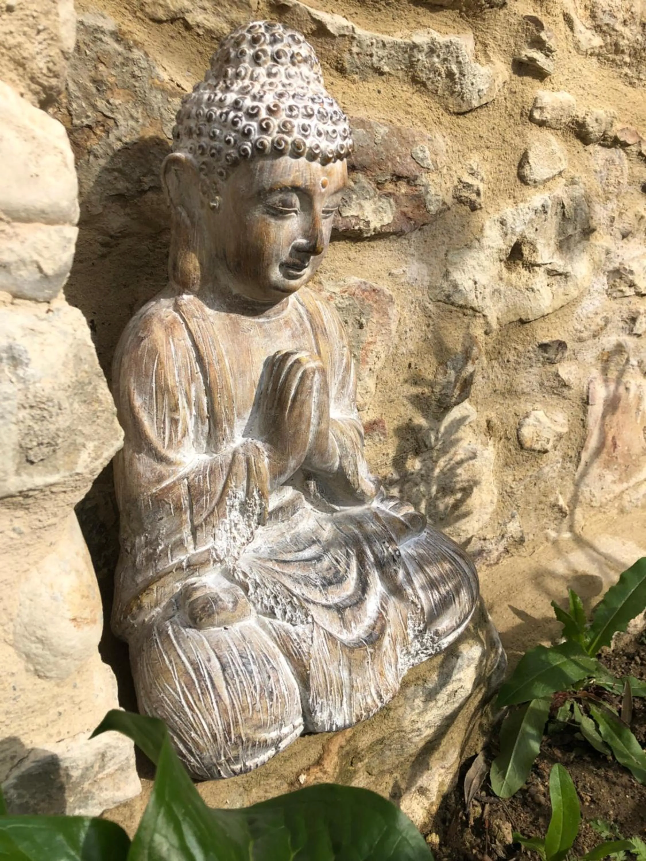 Garden in Maison des Bourgades