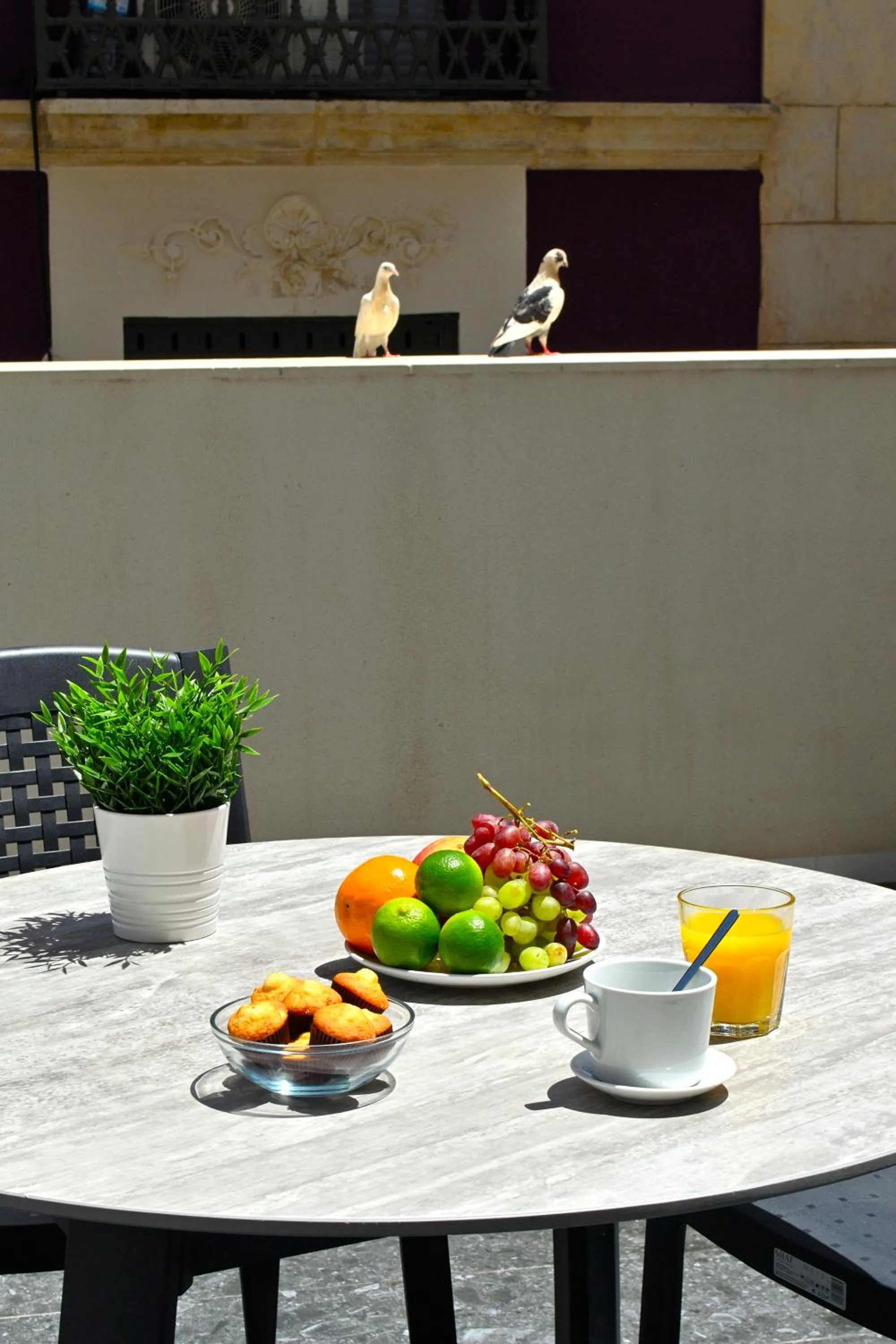 Balcony/Terrace in Holihome Rambla 24