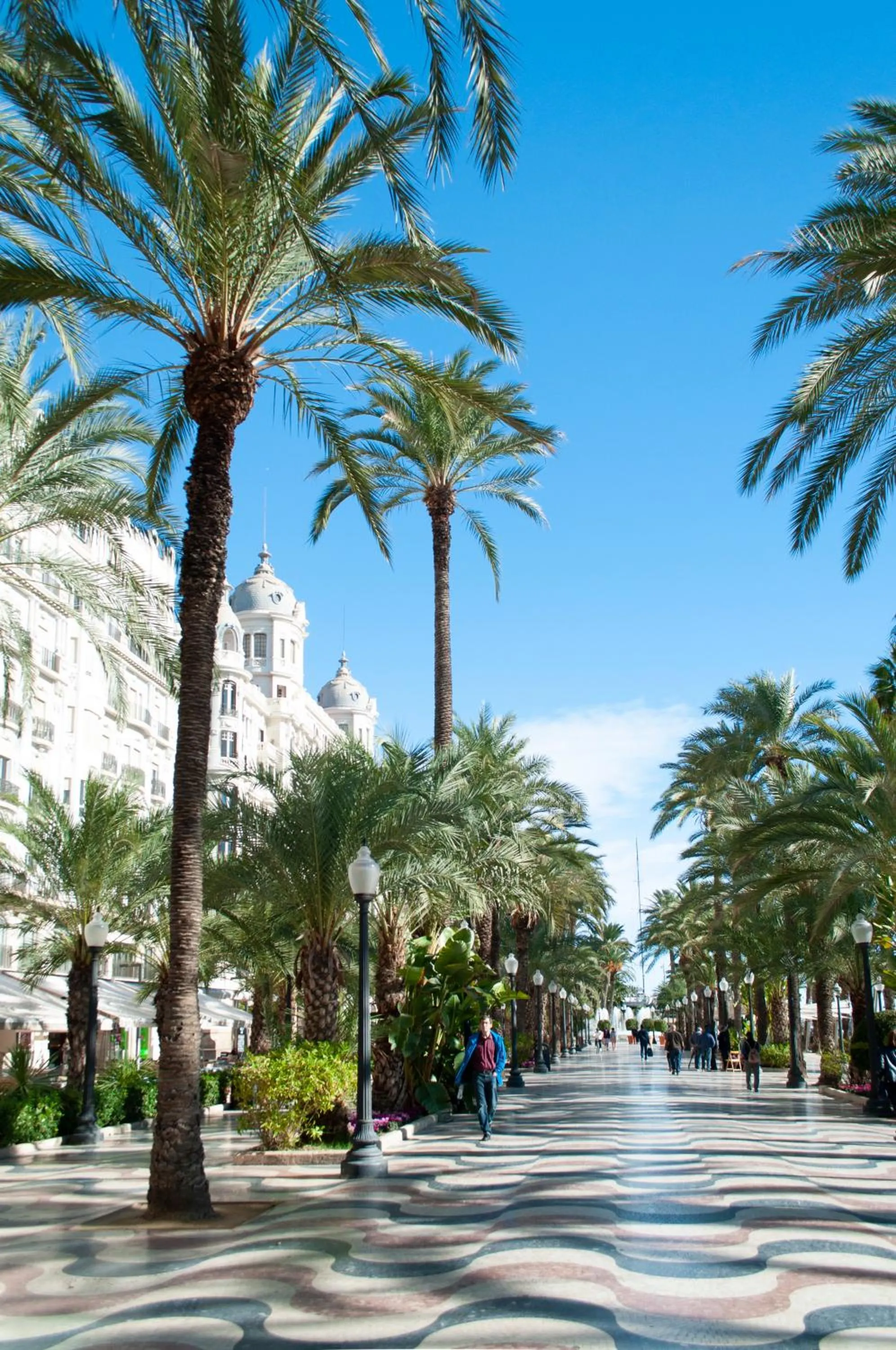 Neighbourhood in Holihome Rambla 24