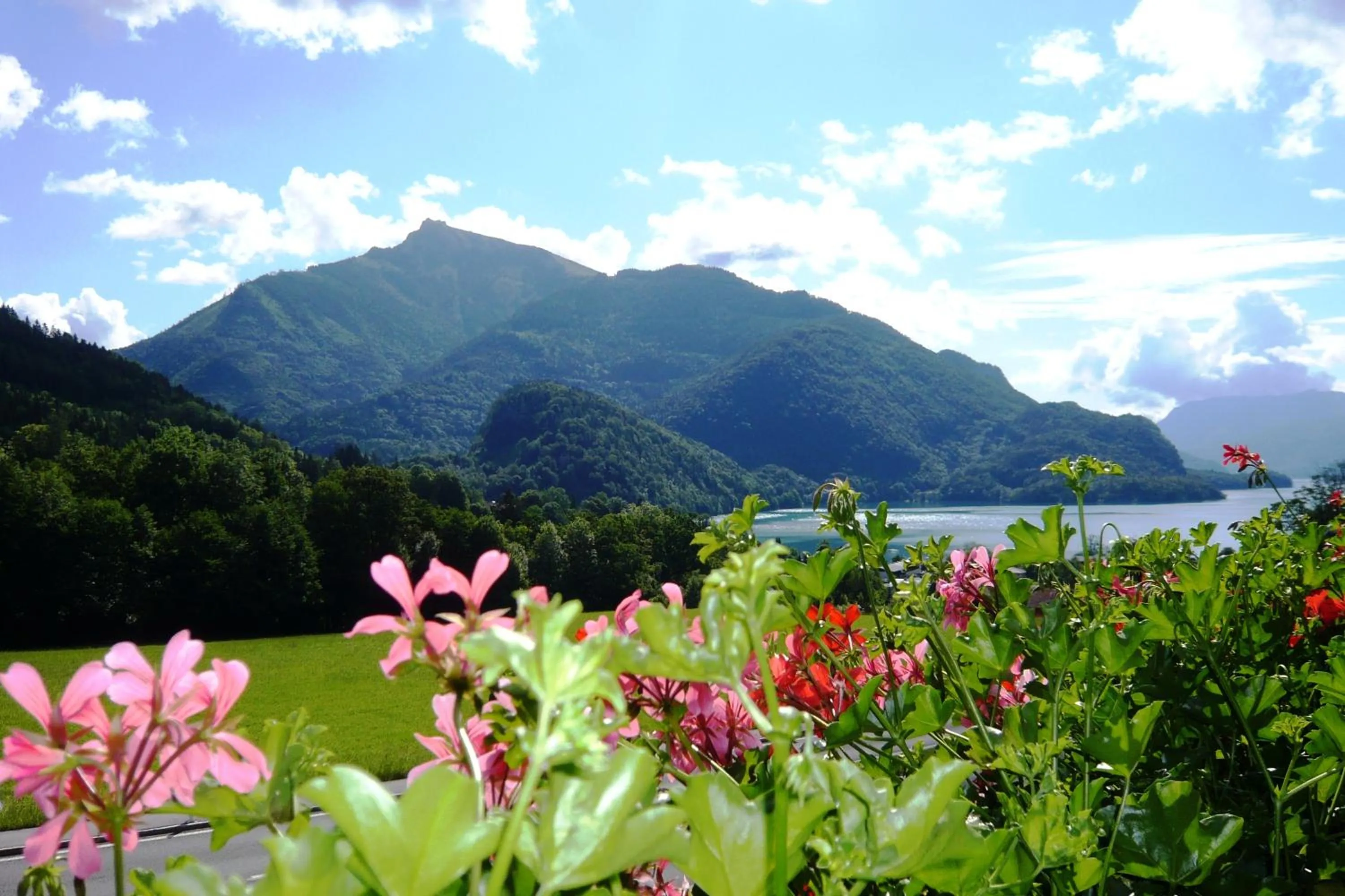 Lake view in Frühstückspension Seeblick