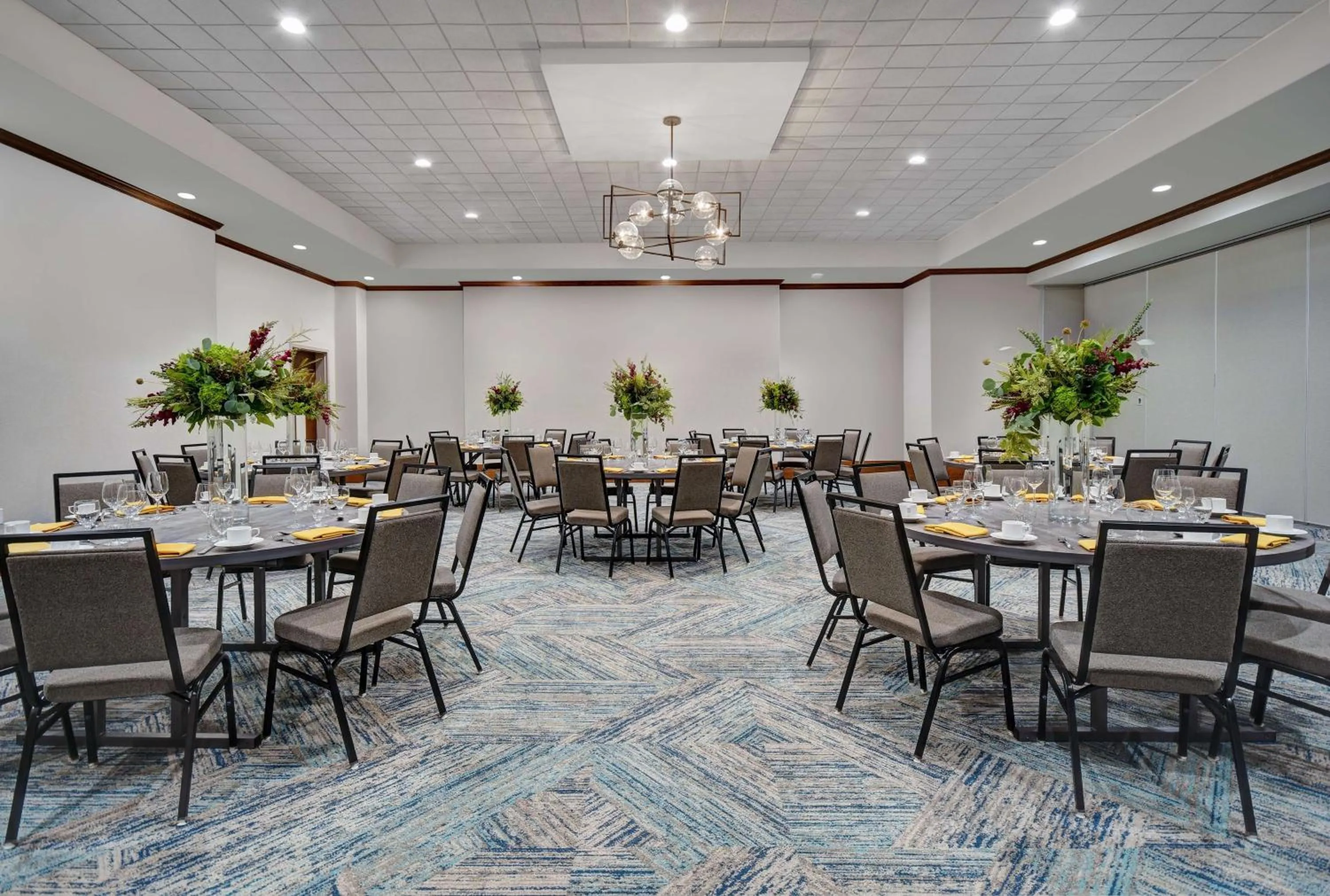 Meeting/conference room in Hilton Garden Inn Houston Medical Center, TX