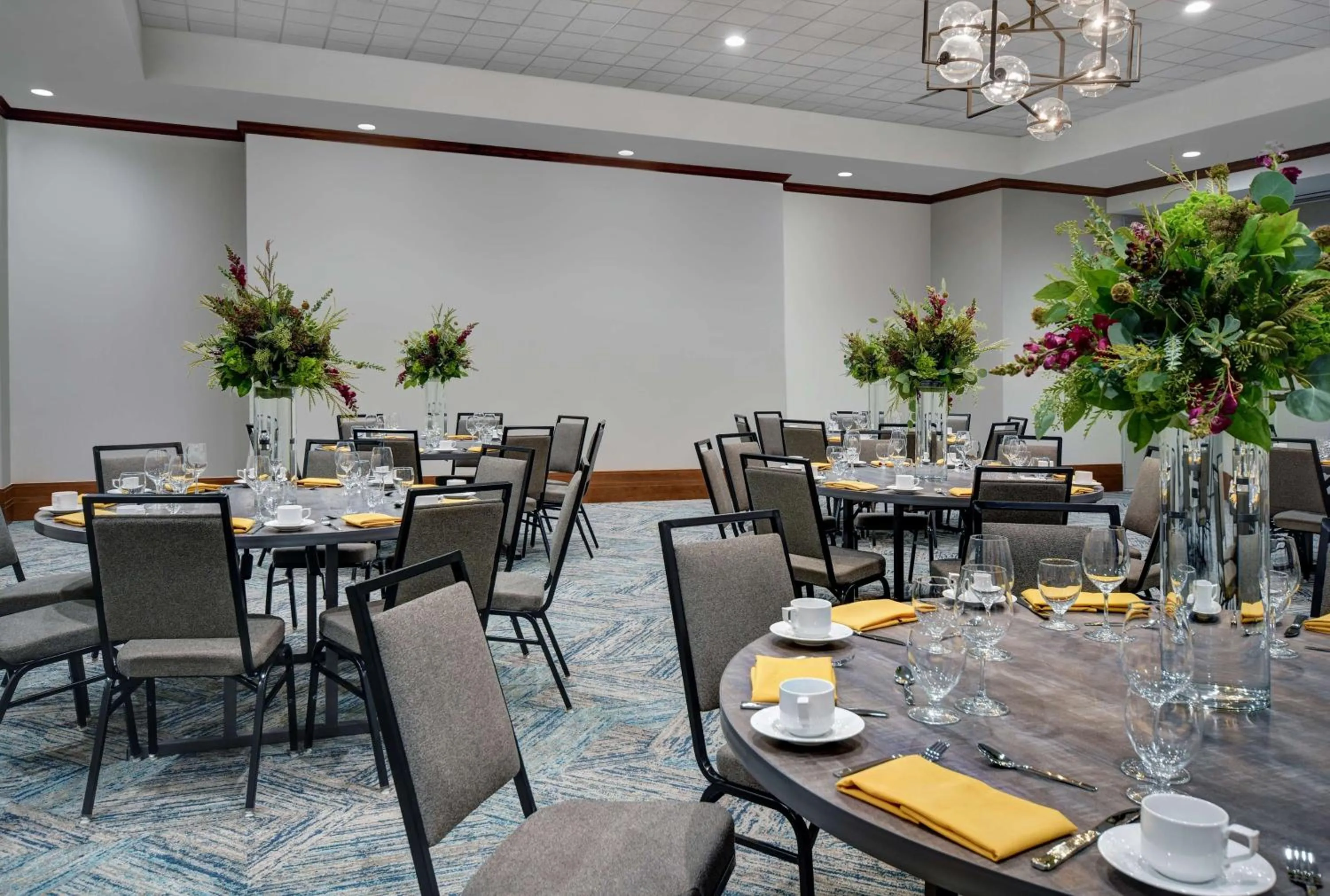 Meeting/conference room in Hilton Garden Inn Houston Medical Center, TX