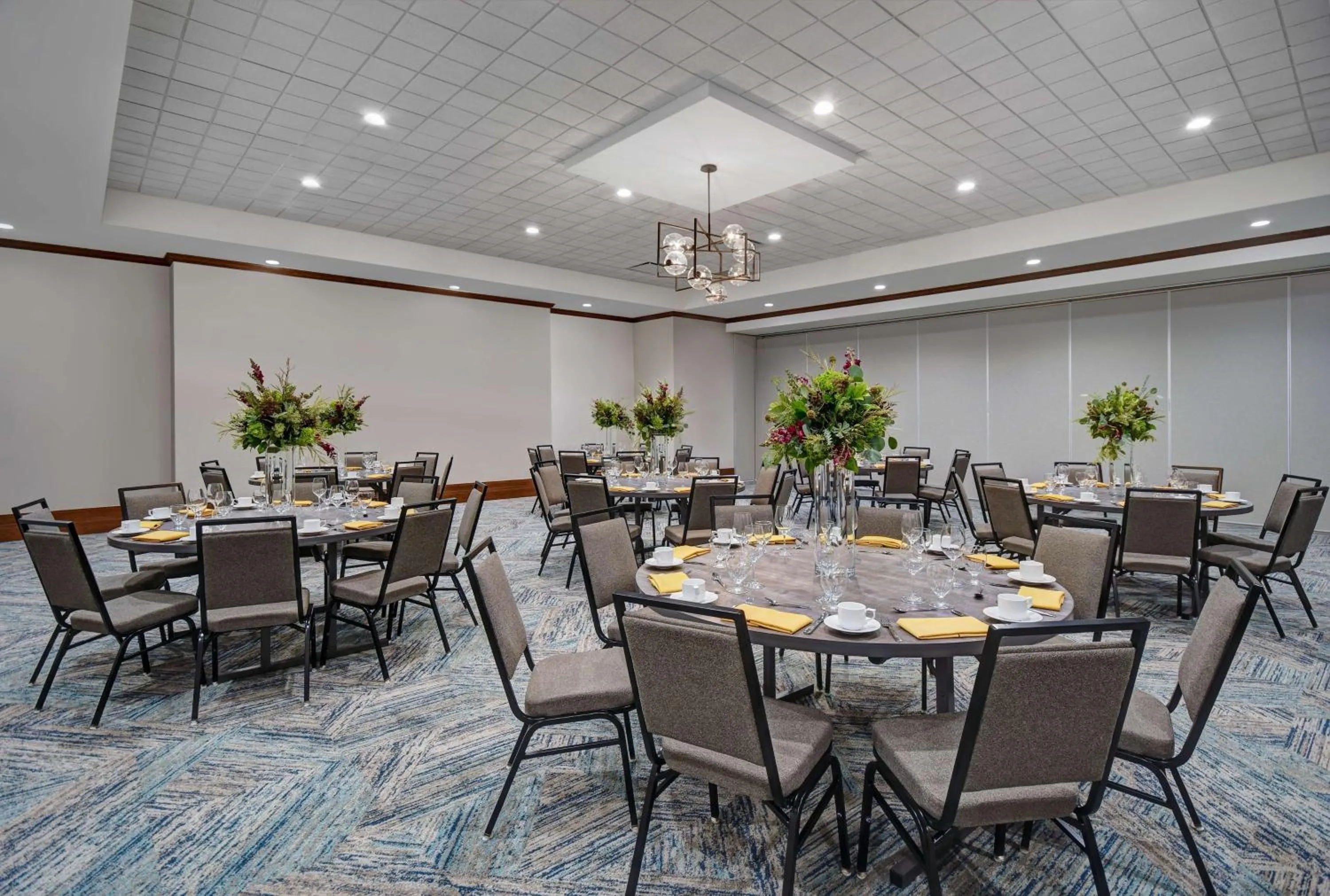 Meeting/conference room in Hilton Garden Inn Houston Medical Center, TX
