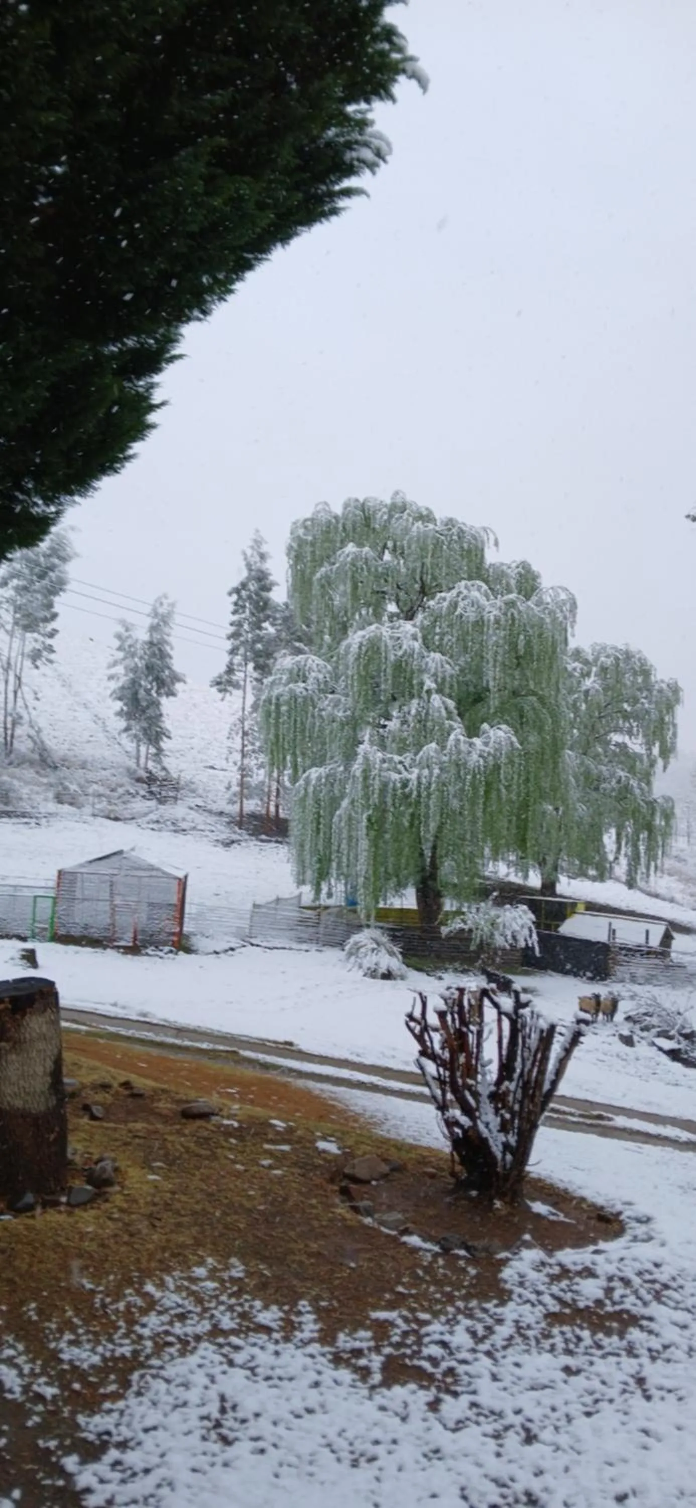 Day in Eland Valley Resort