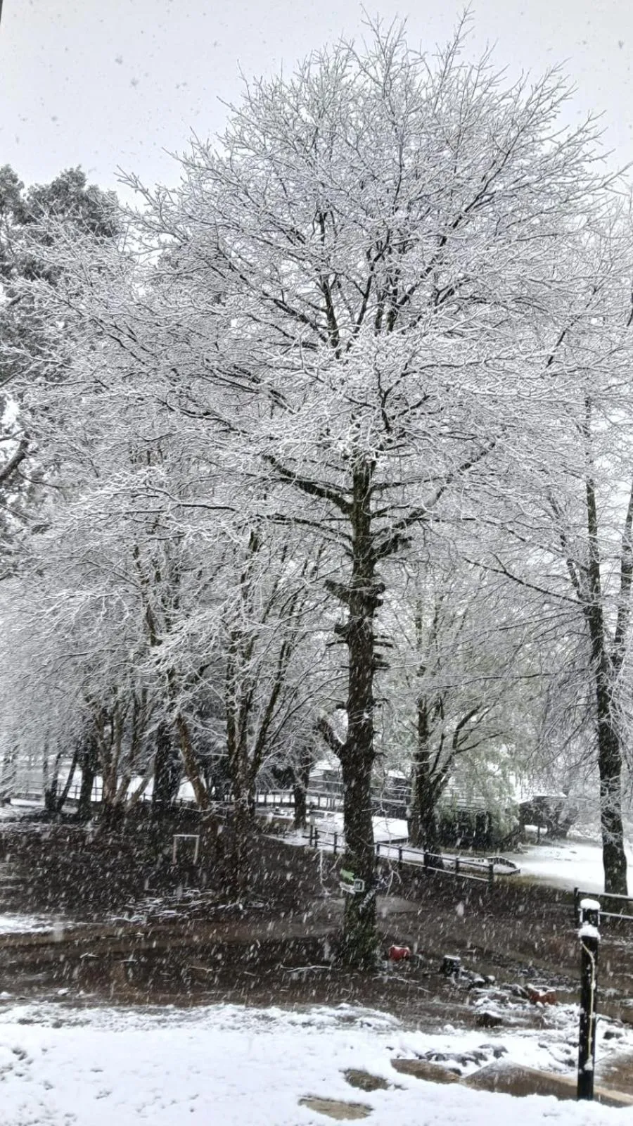 Property building in Eland Valley Resort