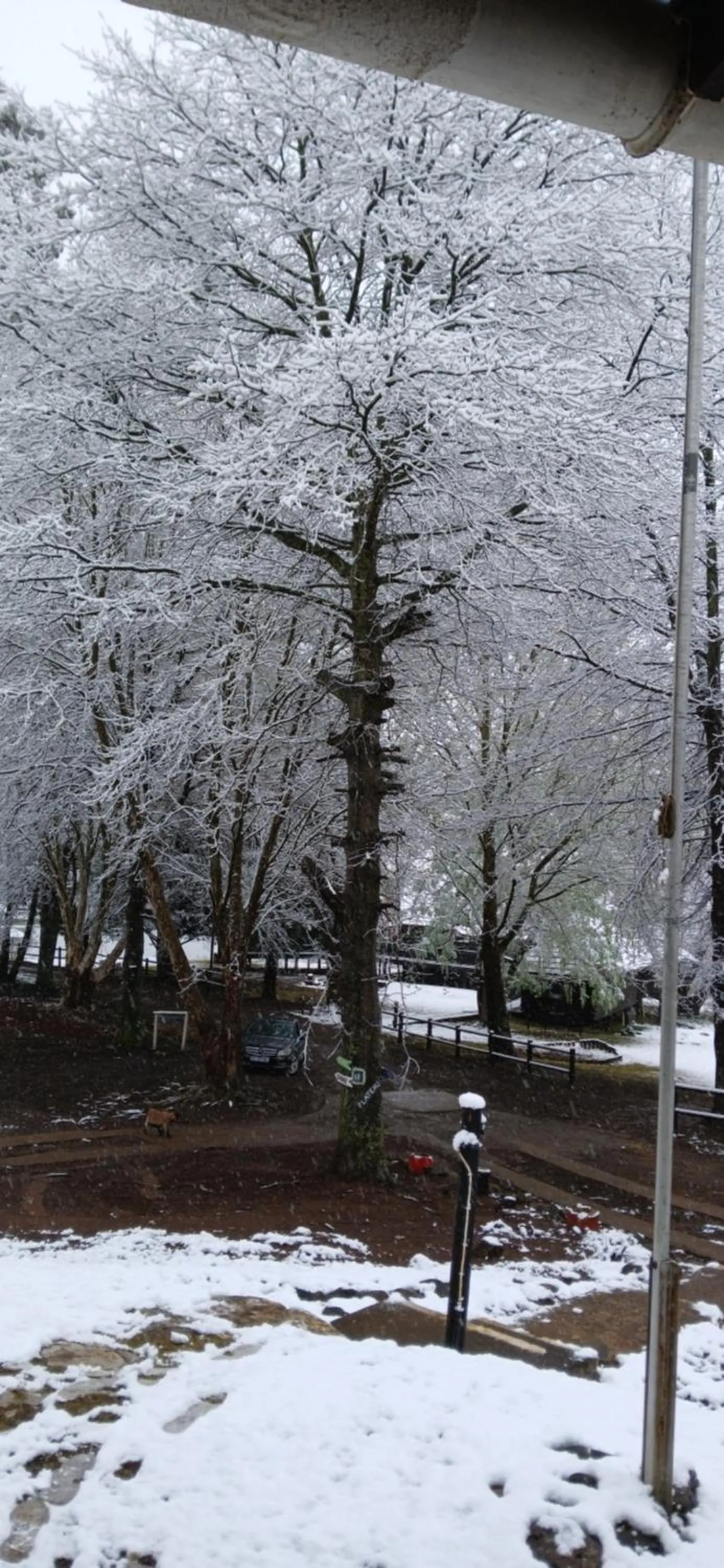 Property building in Eland Valley Resort