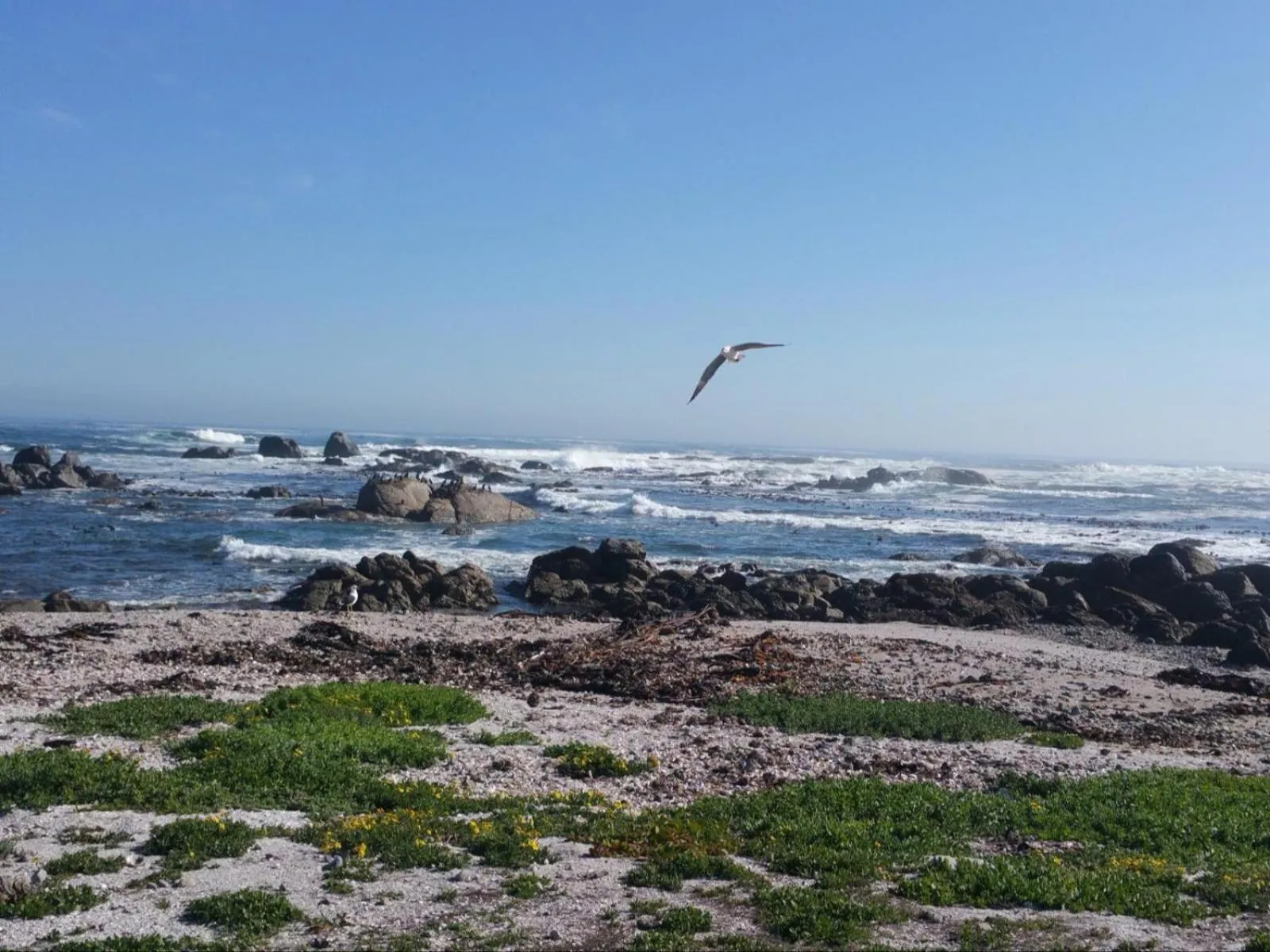 Property building in Onze Uitsight Cottage