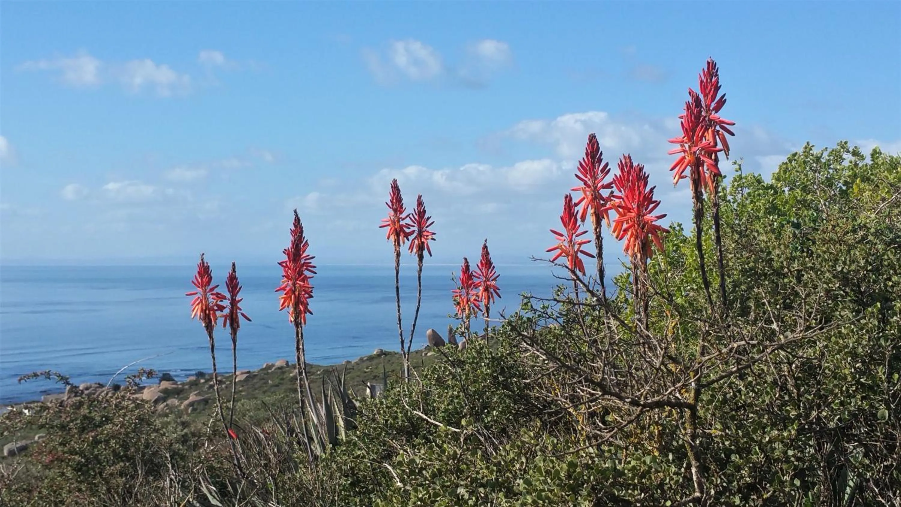 View (from property/room) in Onze Uitsight Cottage