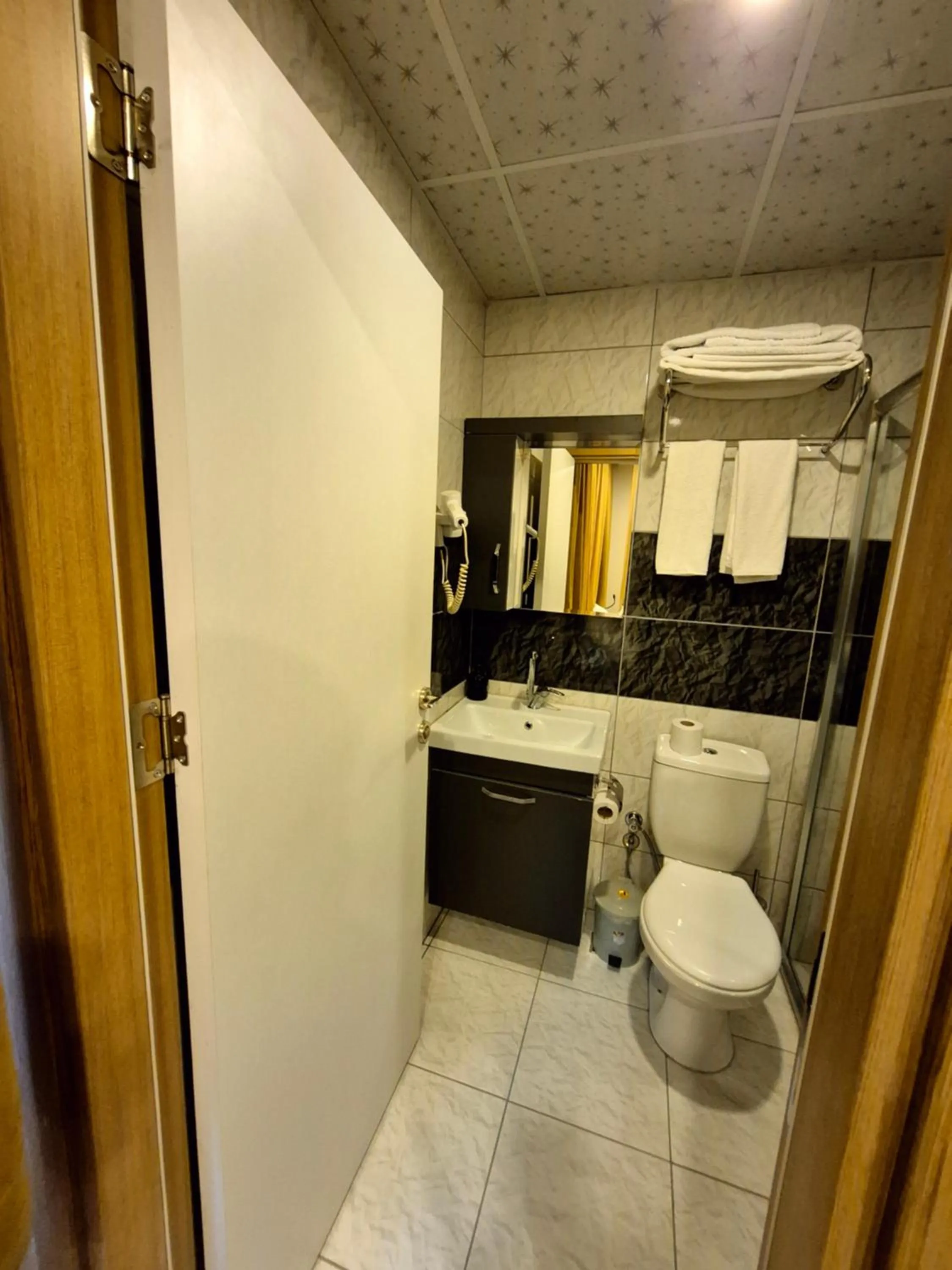 Toilet in Toprak Apart Otel
