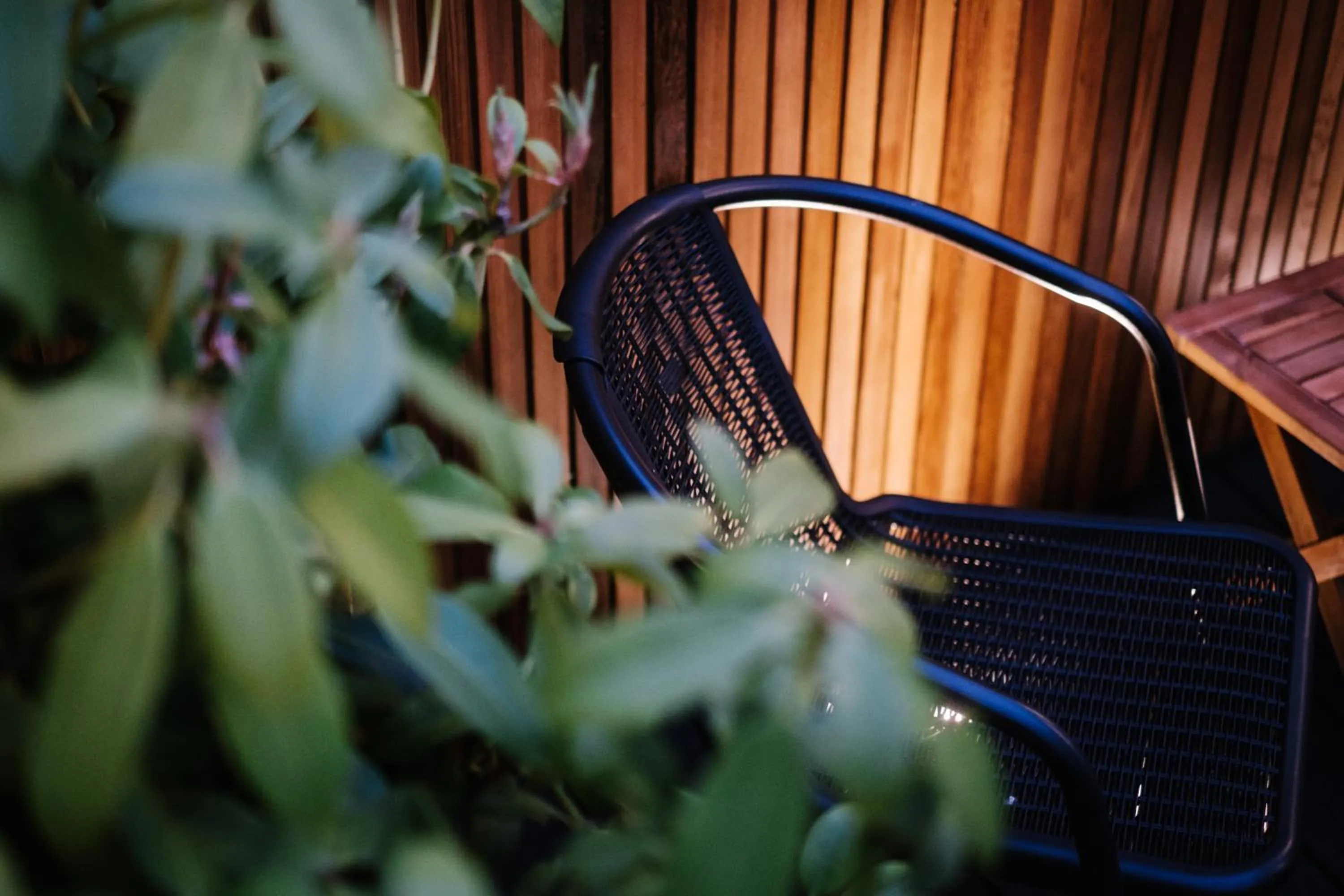 The Den - The White House Windermere