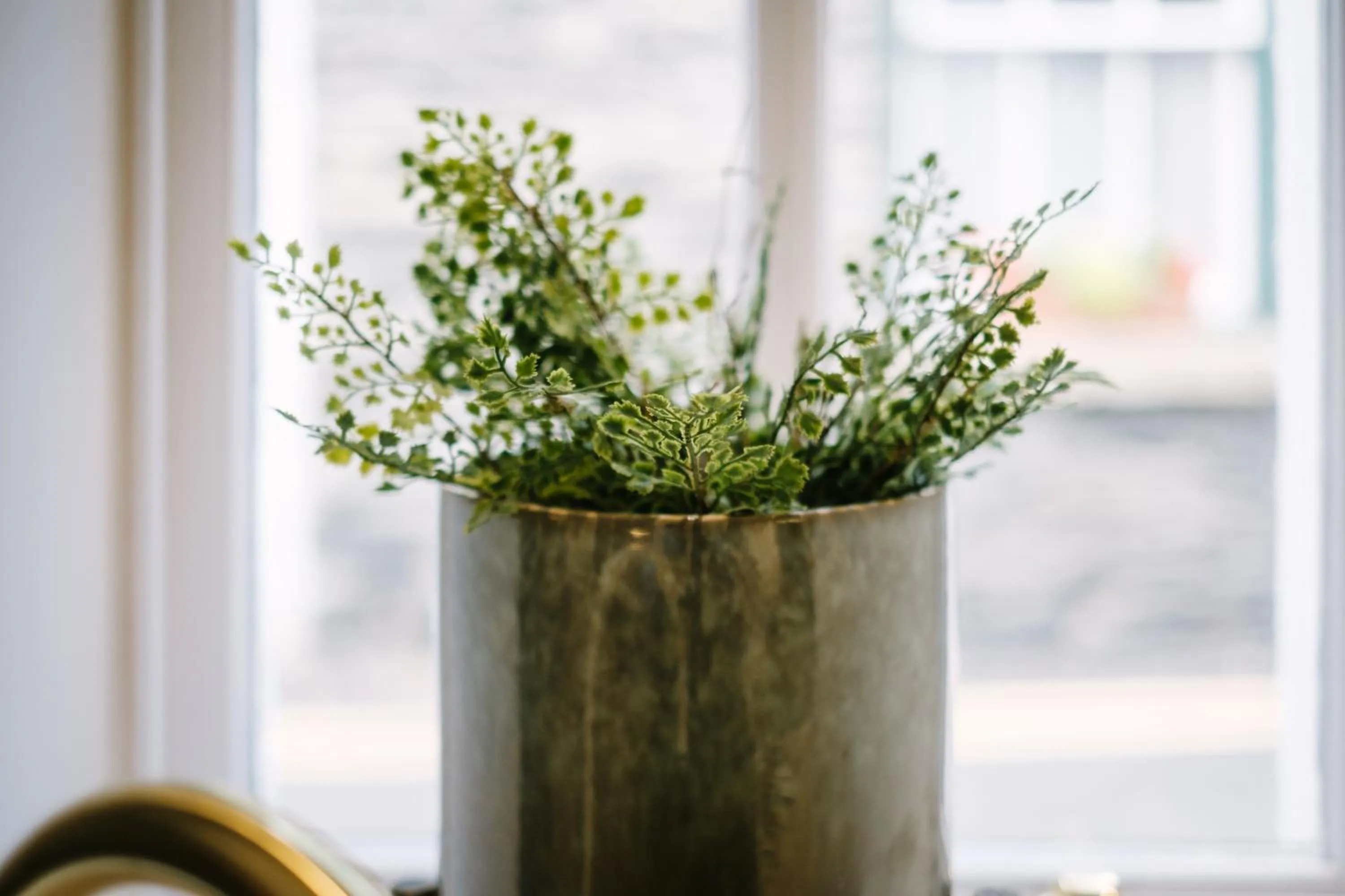 The Den - The White House Windermere