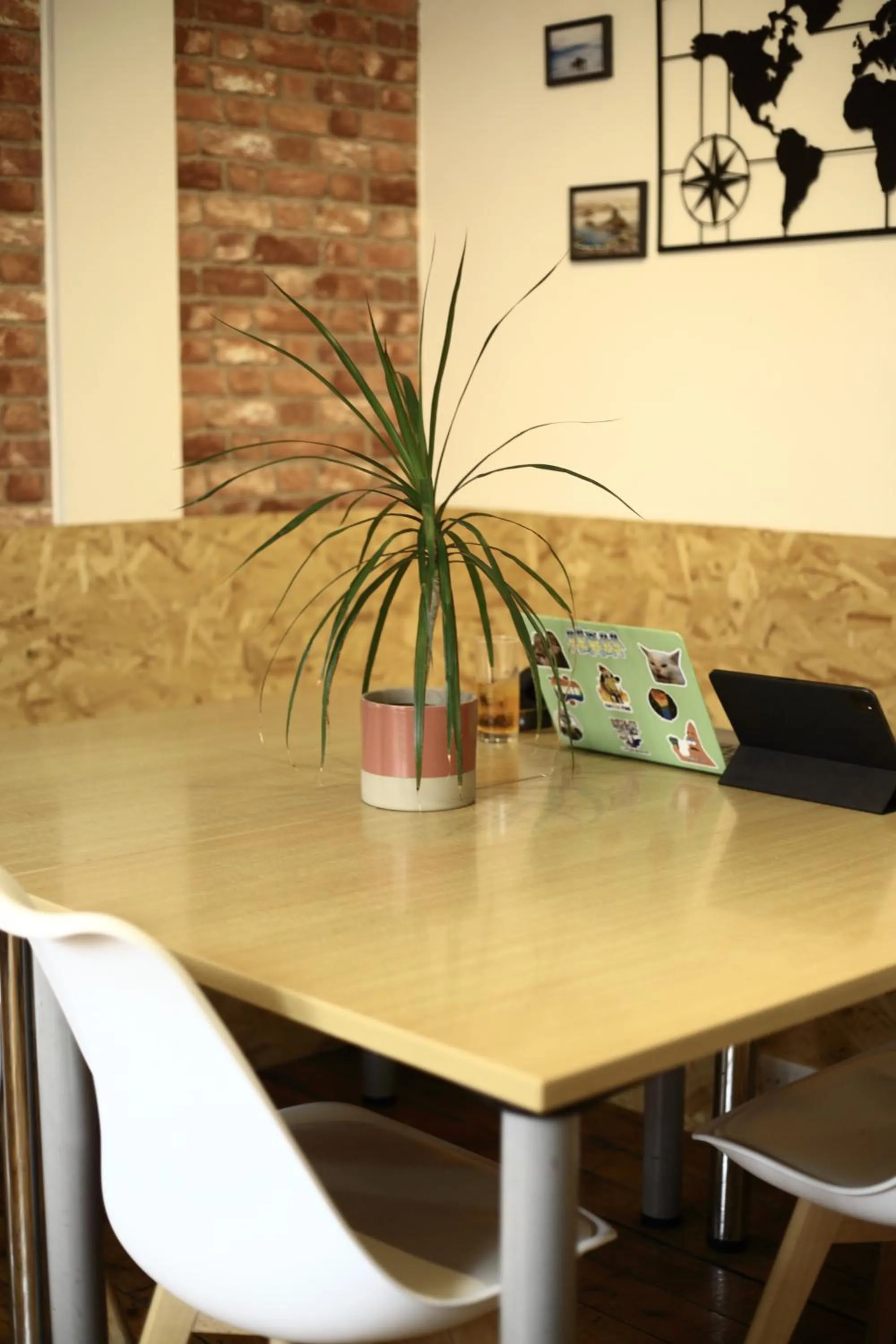 Communal lounge/ TV room in Central Backpackers