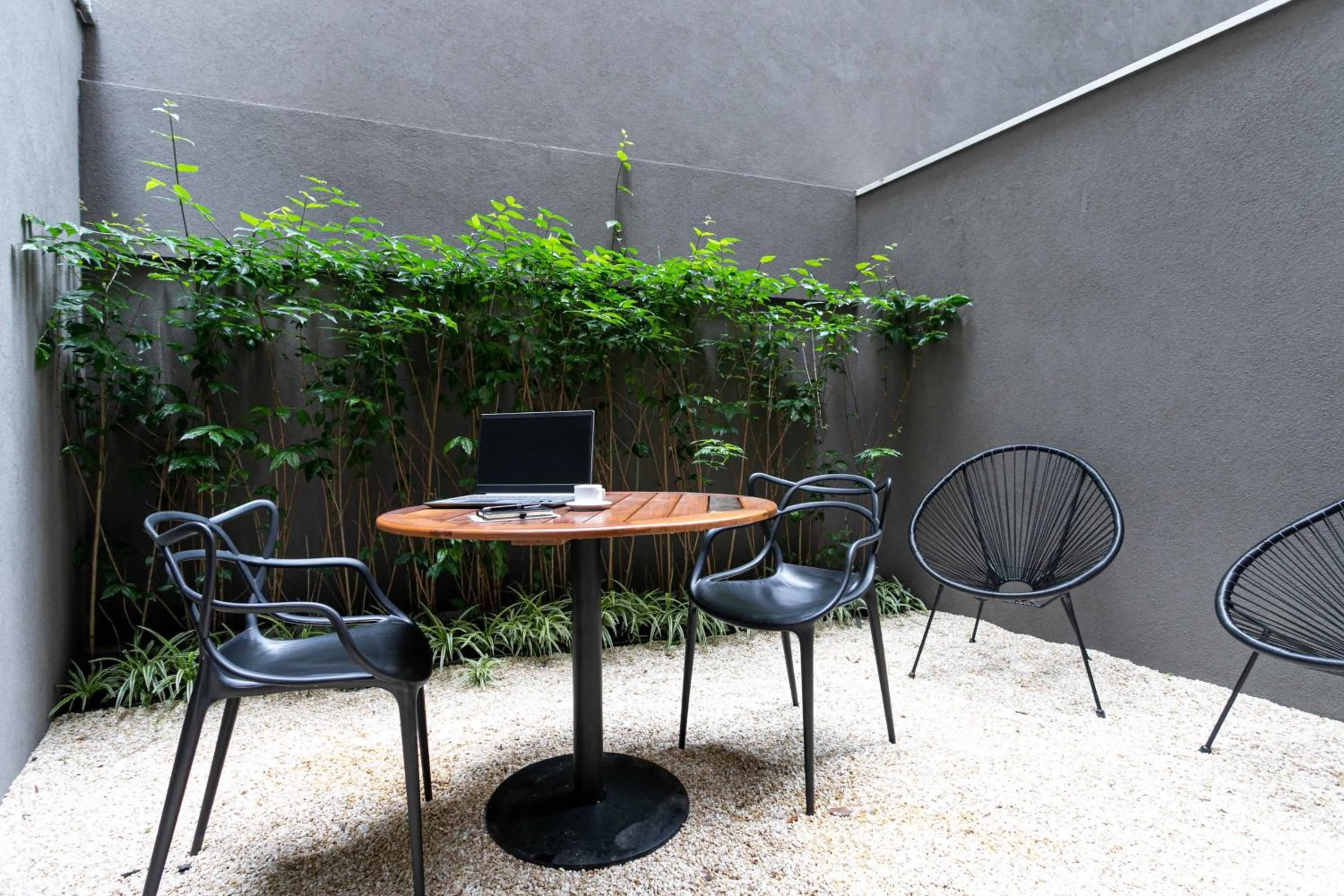 Day in Charlie Itaim Bueno Brandão