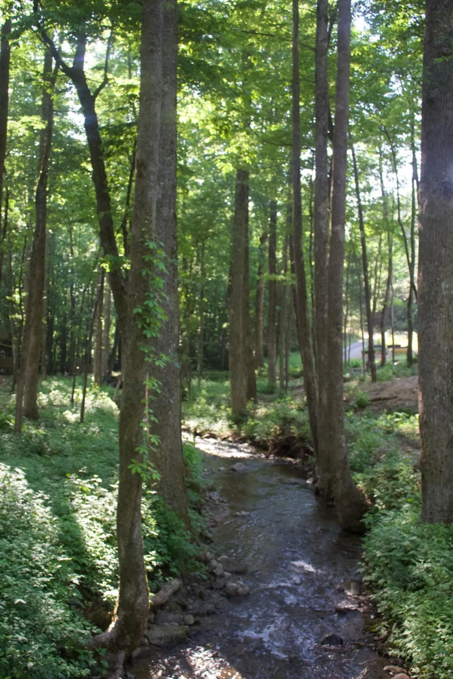 Villas at Gingershack Farms