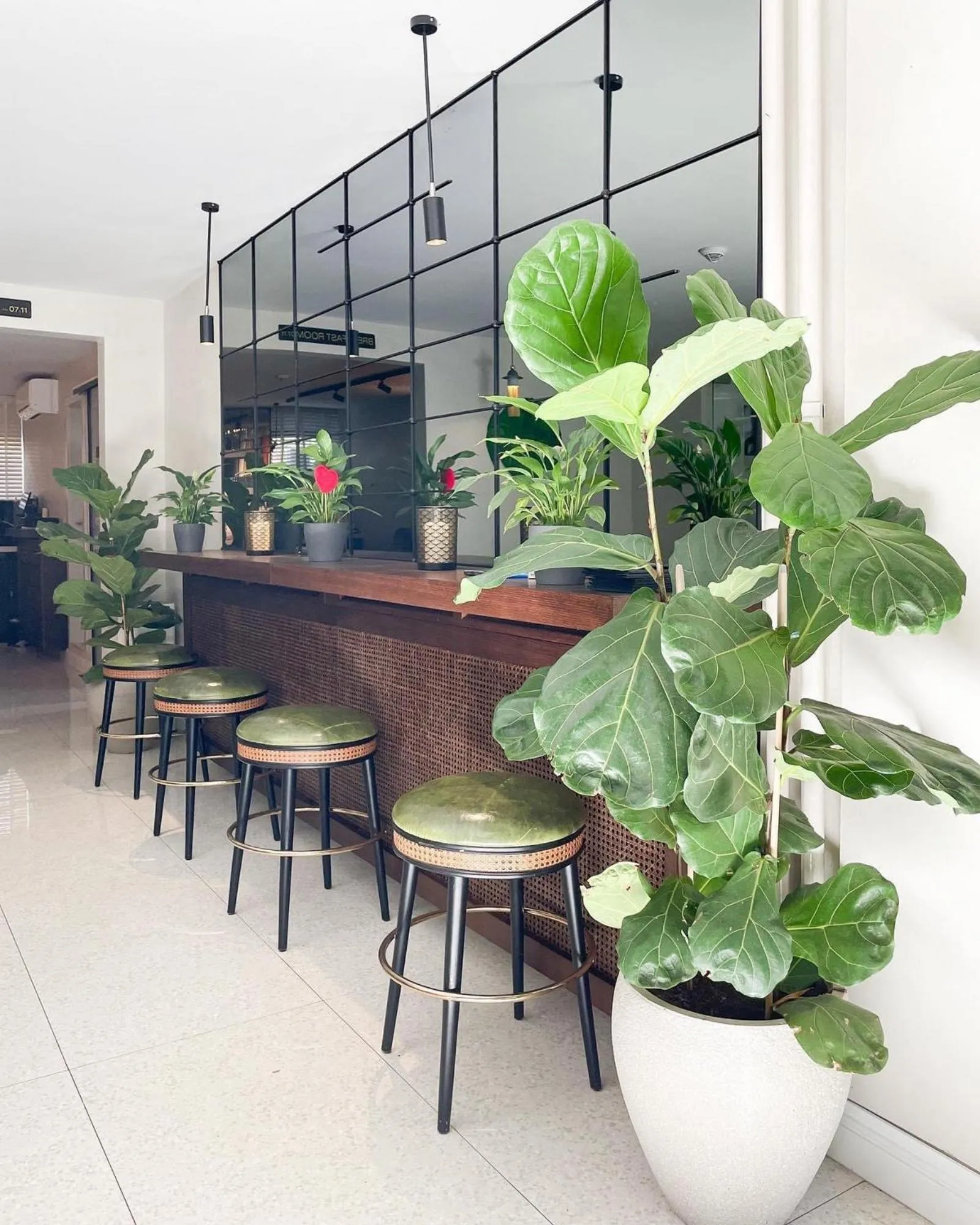 Restaurant/places to eat in Hotel Botanica