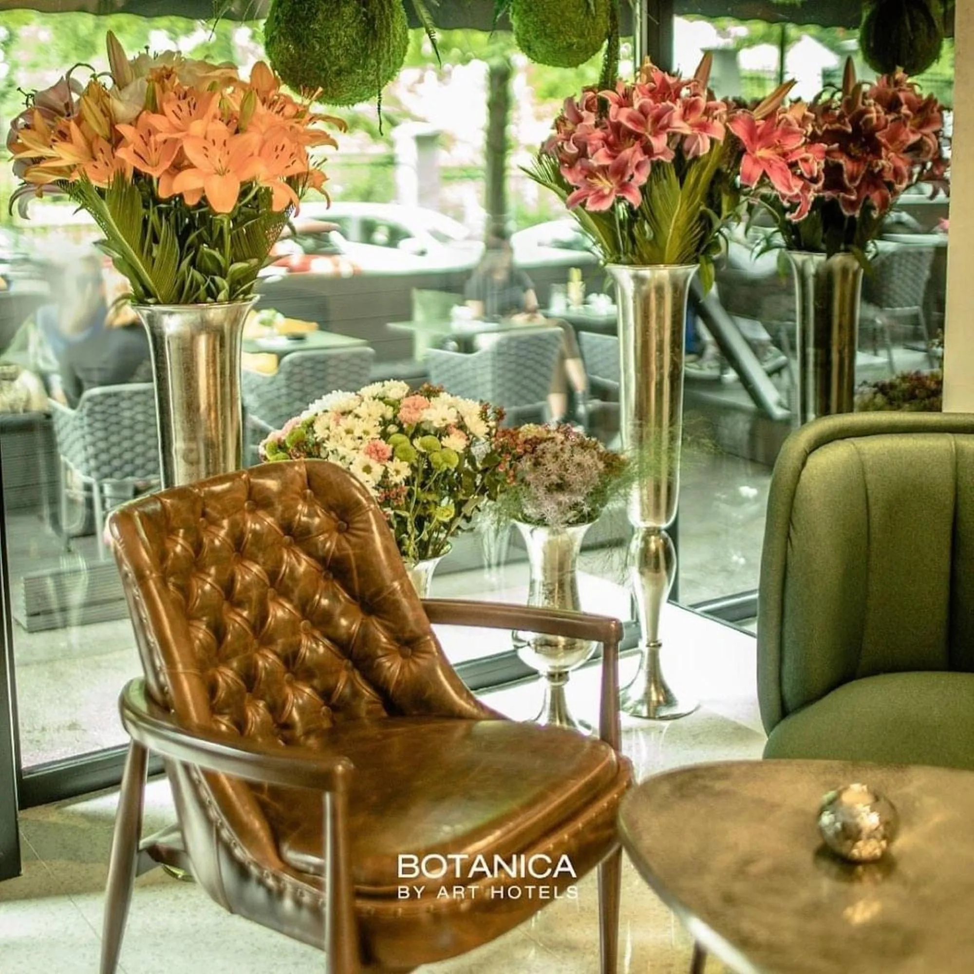 Restaurant/places to eat in Hotel Botanica