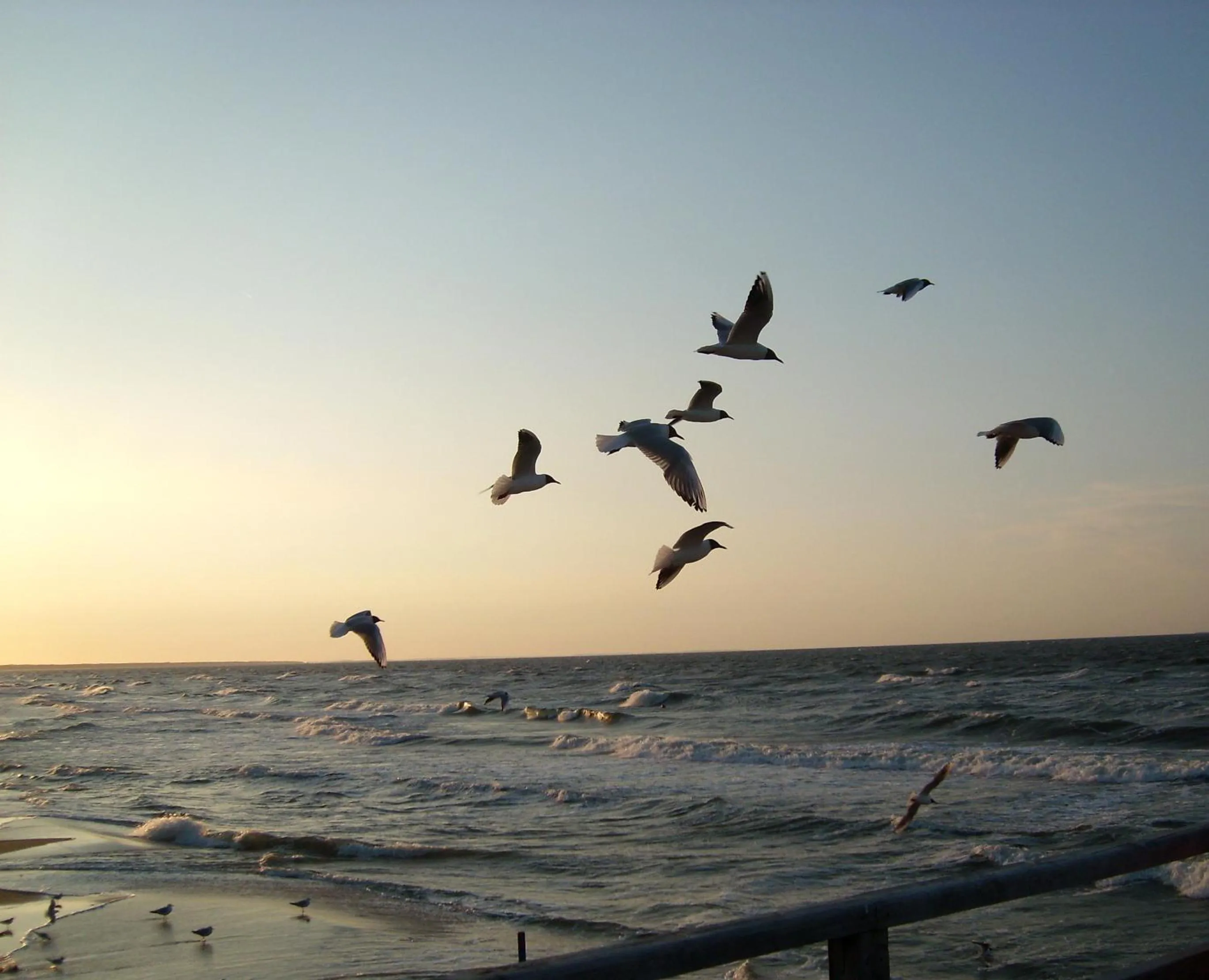 Natural landscape in DAS HUDEWALD Hotel & Resort