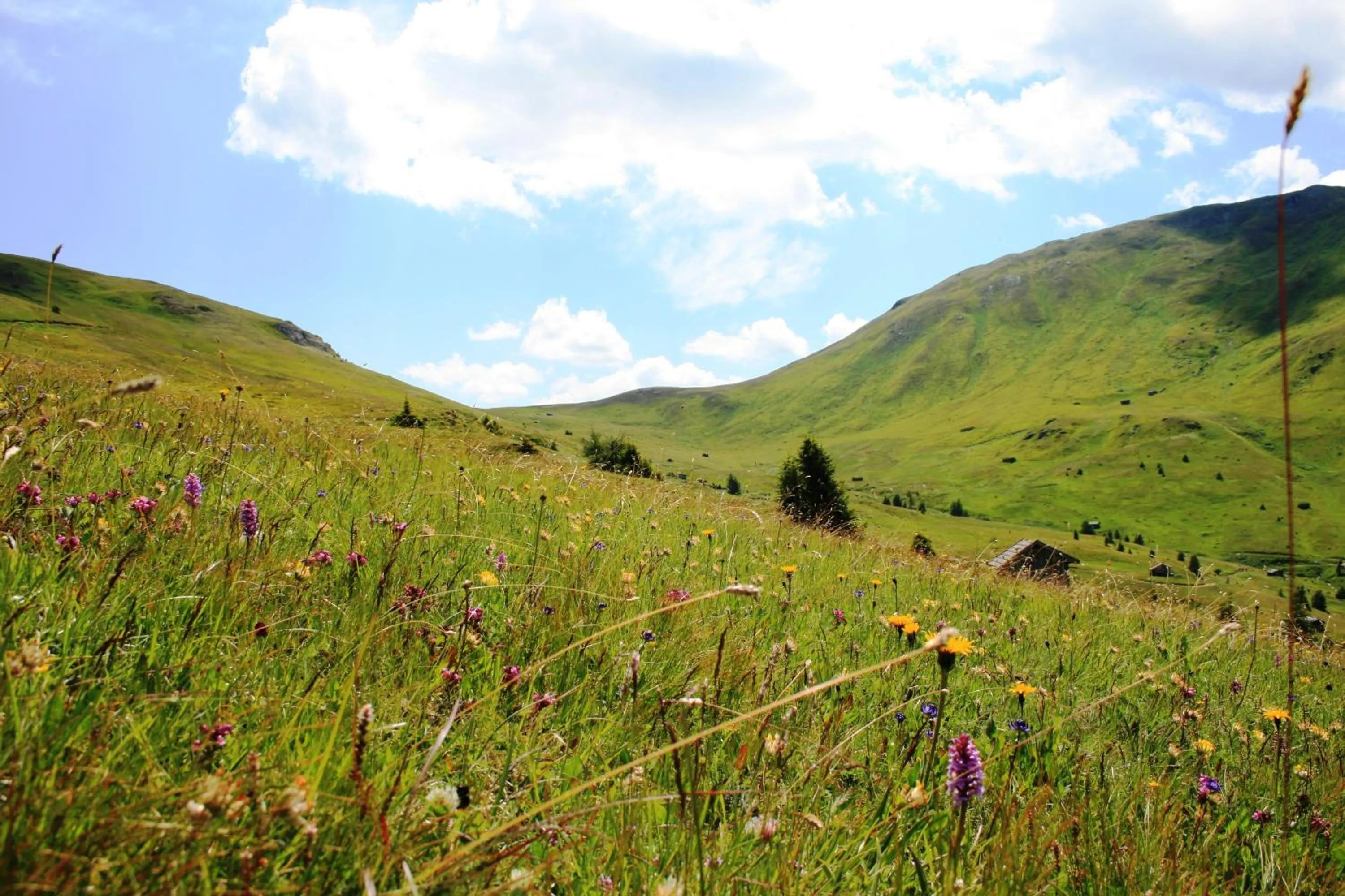 Hiking in Alpen Gasthof Apartments Hohe Burg