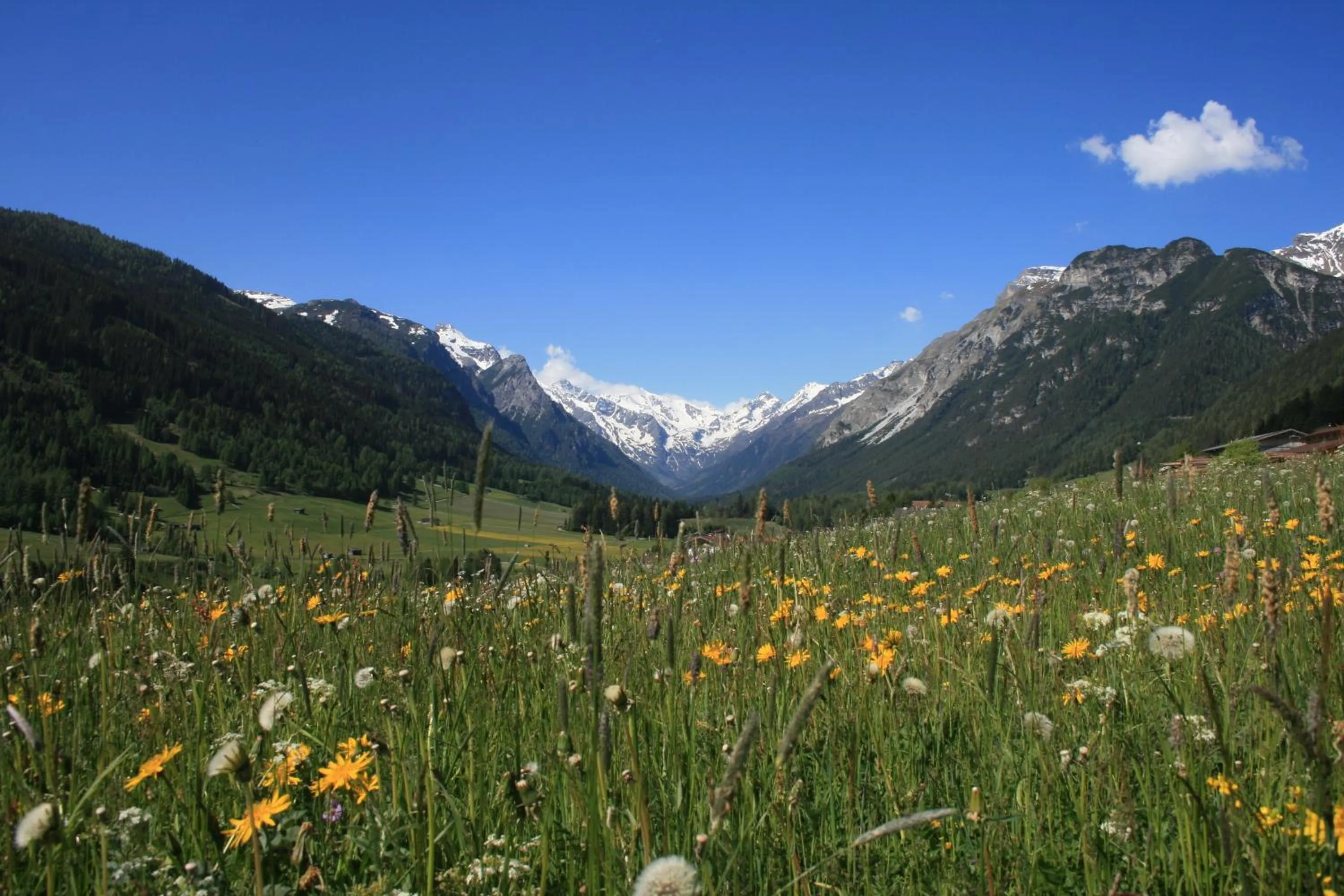 Natural landscape in Alpen Gasthof Apartments Hohe Burg