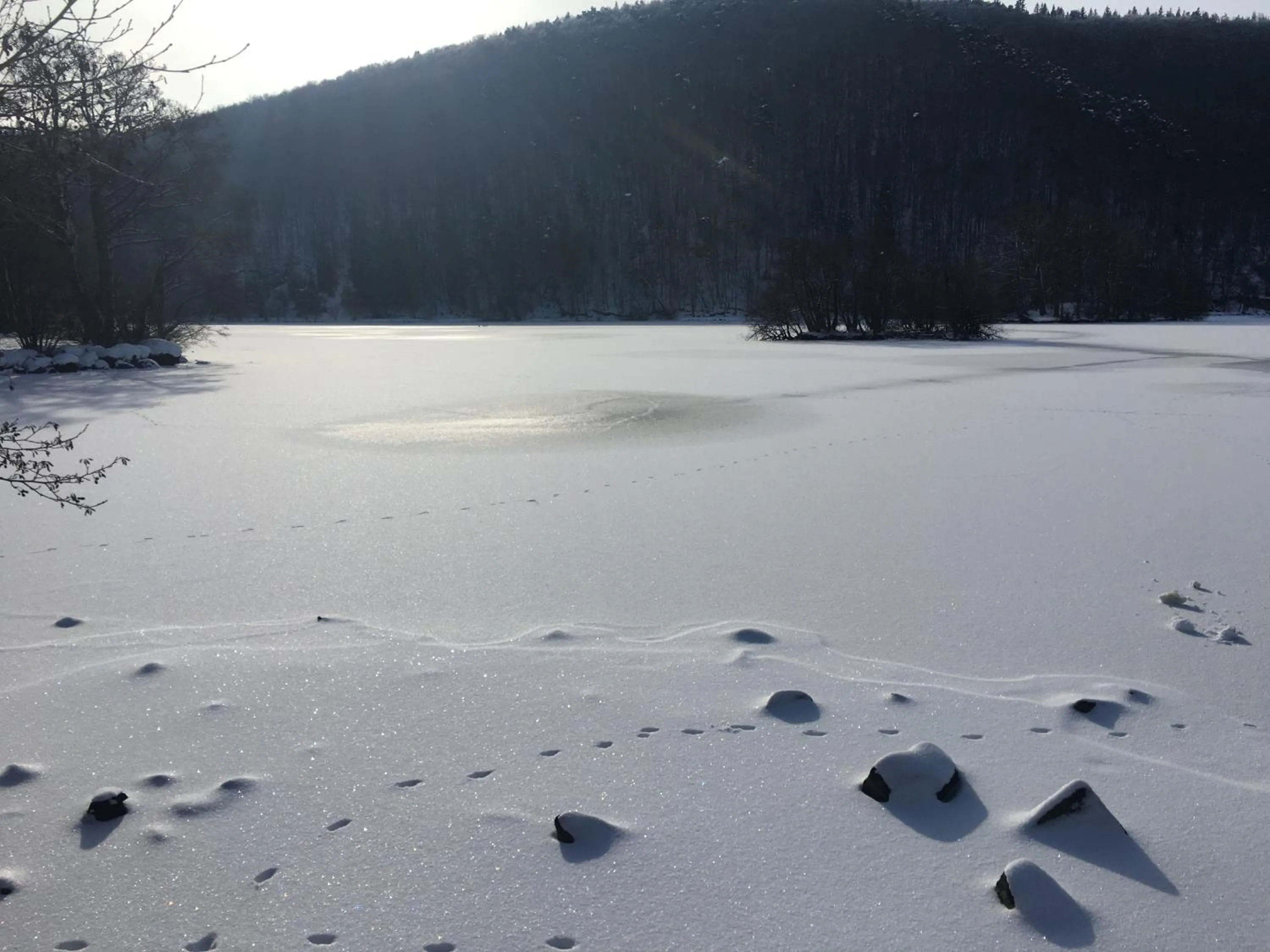 Natural landscape in Hôtel Restaurant Le Grillon