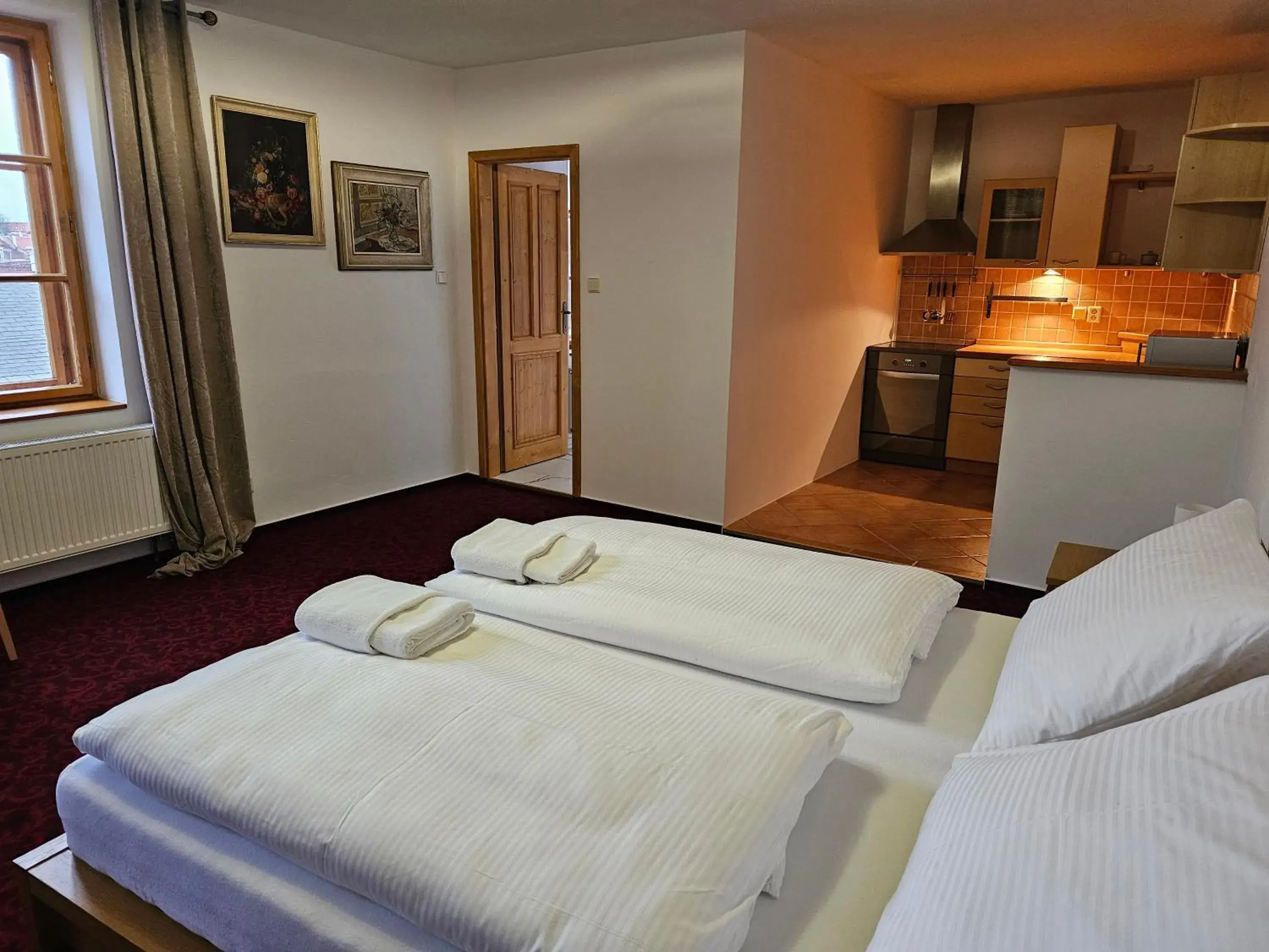 Apartment - single occupancy in Hotel Bílá Paní Apartment - single occupancy in Hotel Bílá Paní