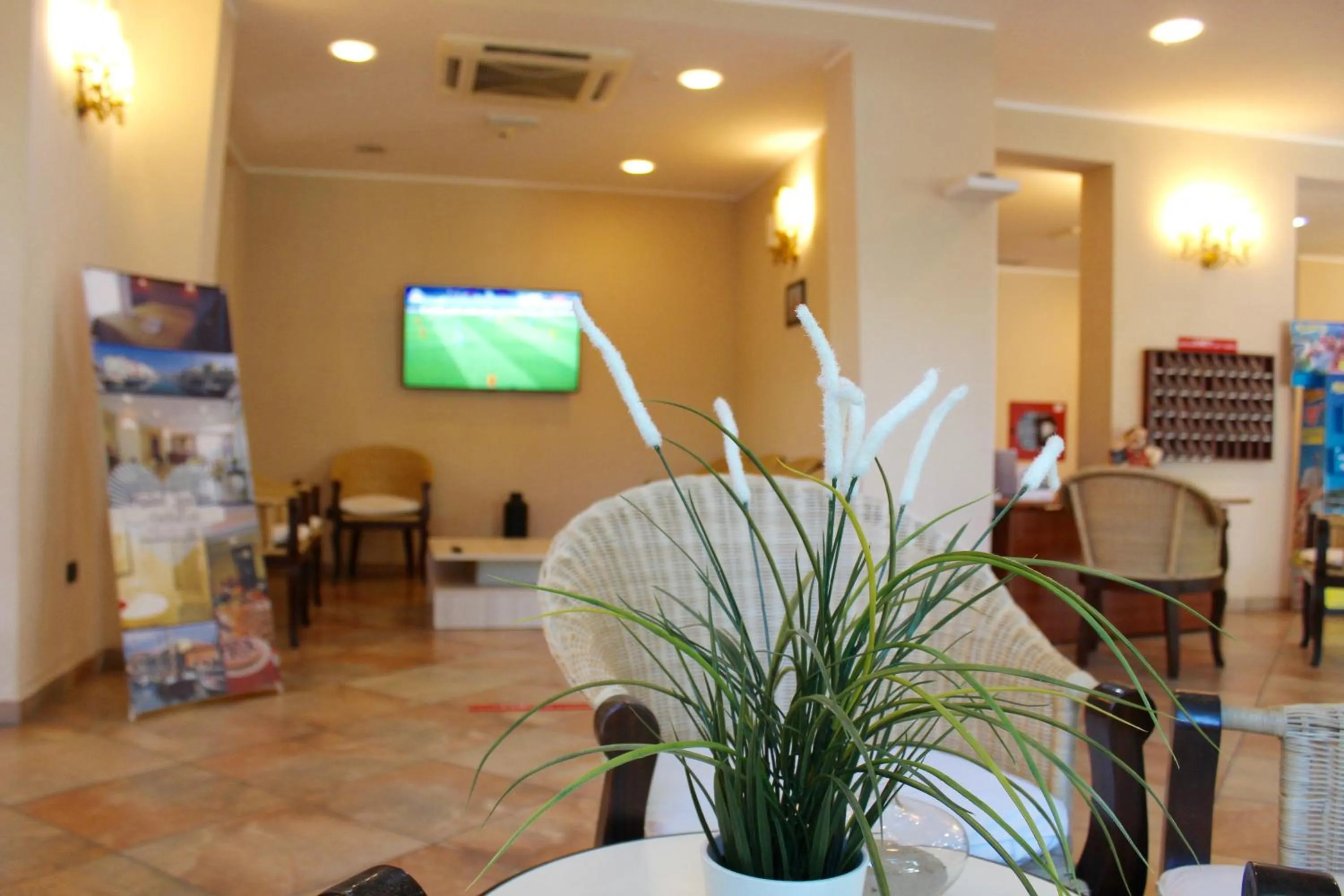 TV and multimedia in Hotel Jole