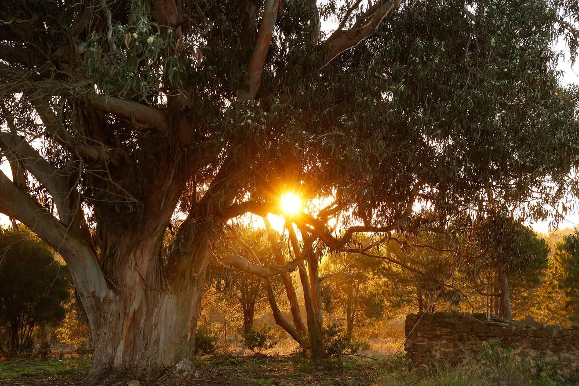 Sunset in Praia do Canal Nature Retreat - Small Luxury Hotels of the World