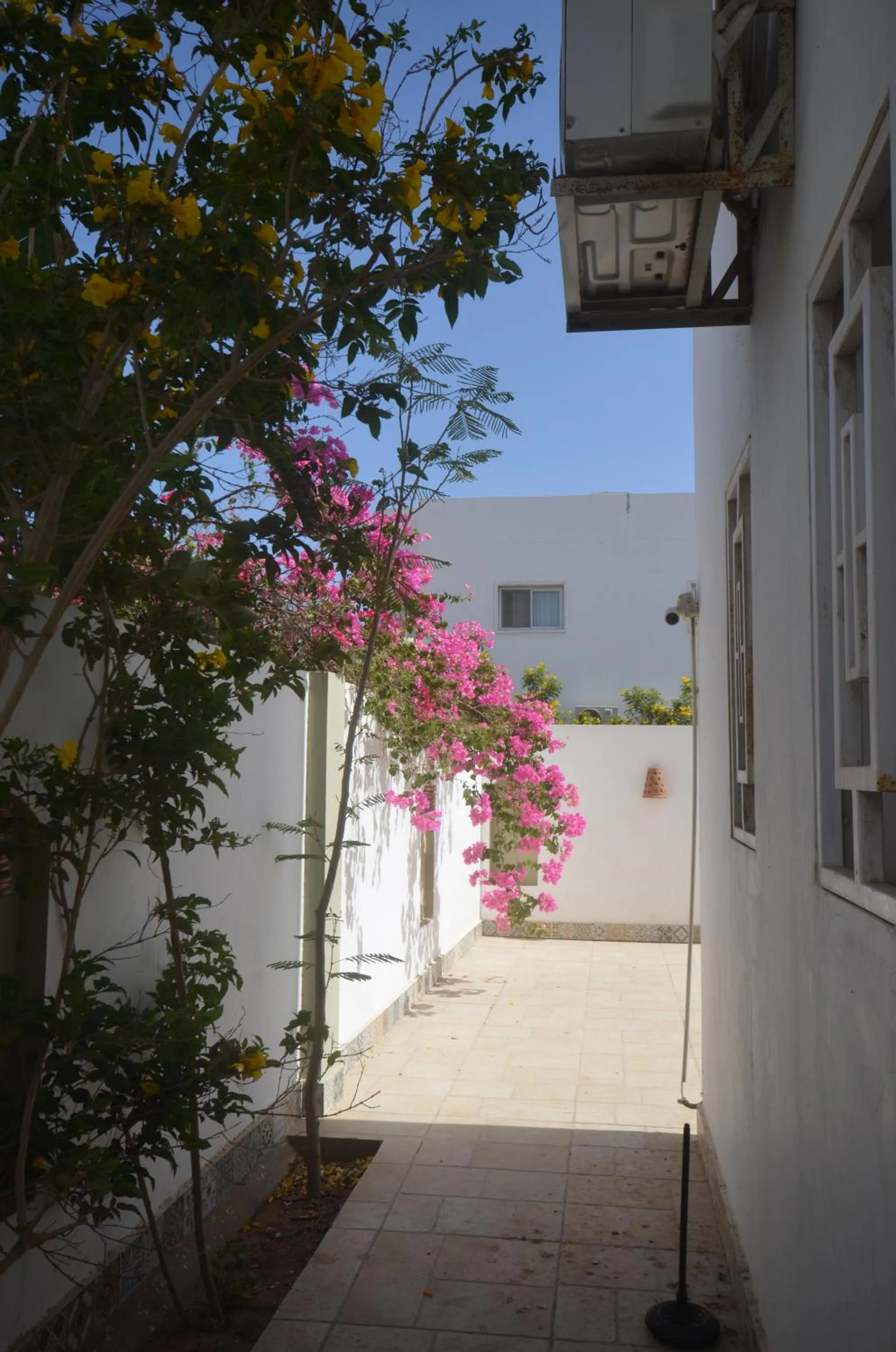 Property building in Elite Residence Dahab