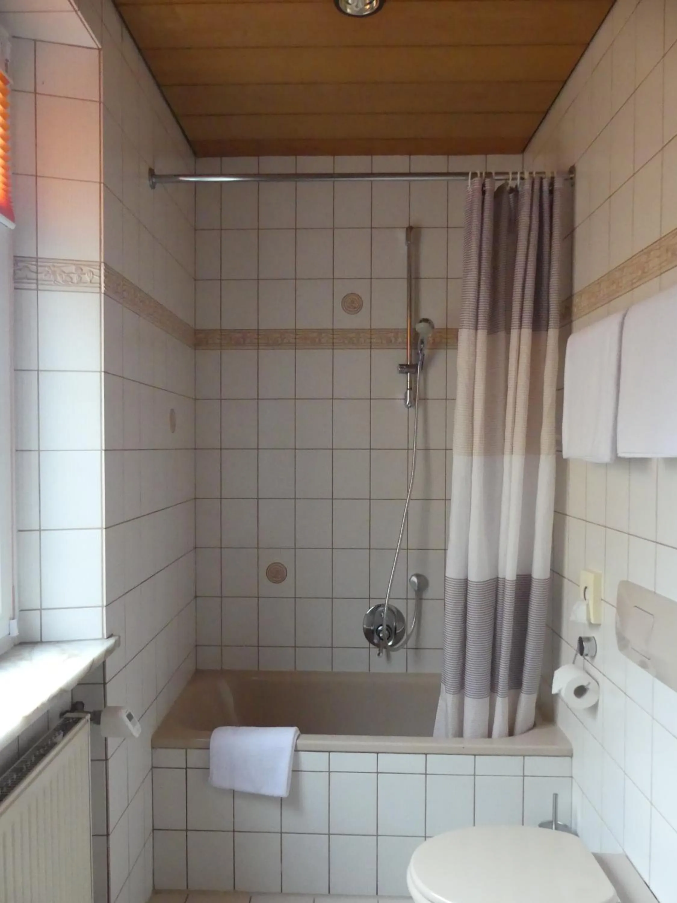 Toilet in Bayerischer Hof