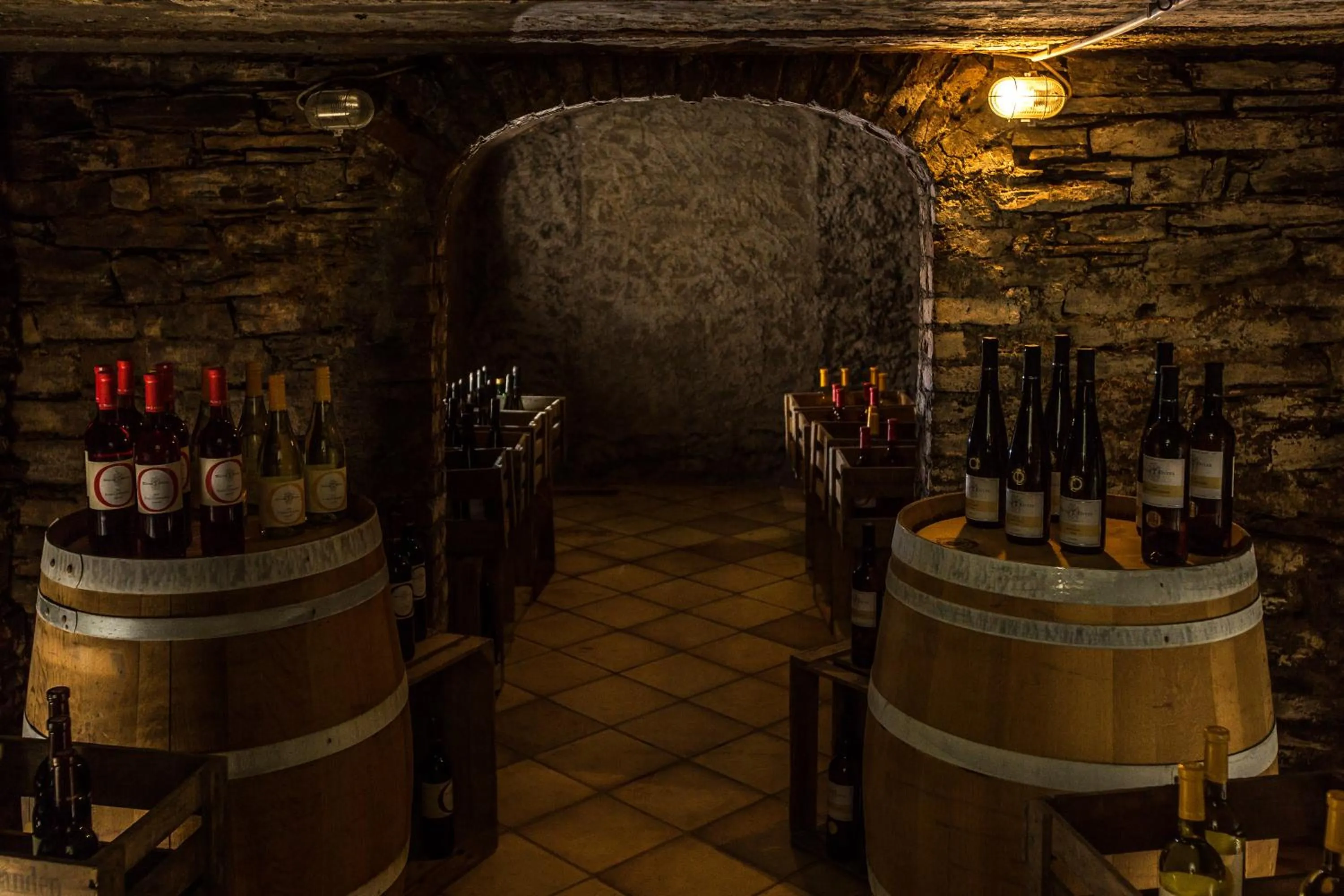 Area and facilities in Parkhotel Cochem