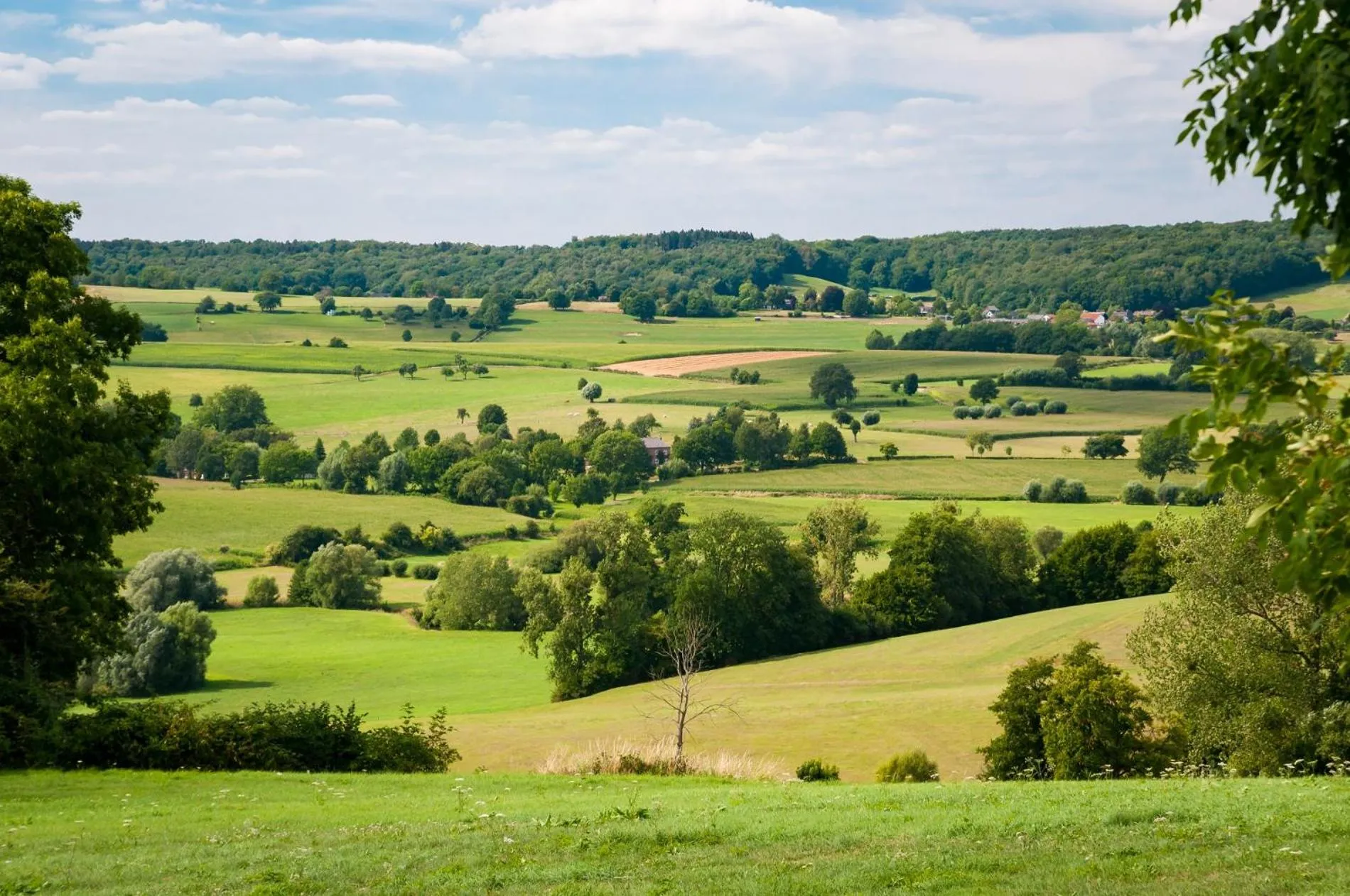 Natural landscape in Hotel Heijenrath